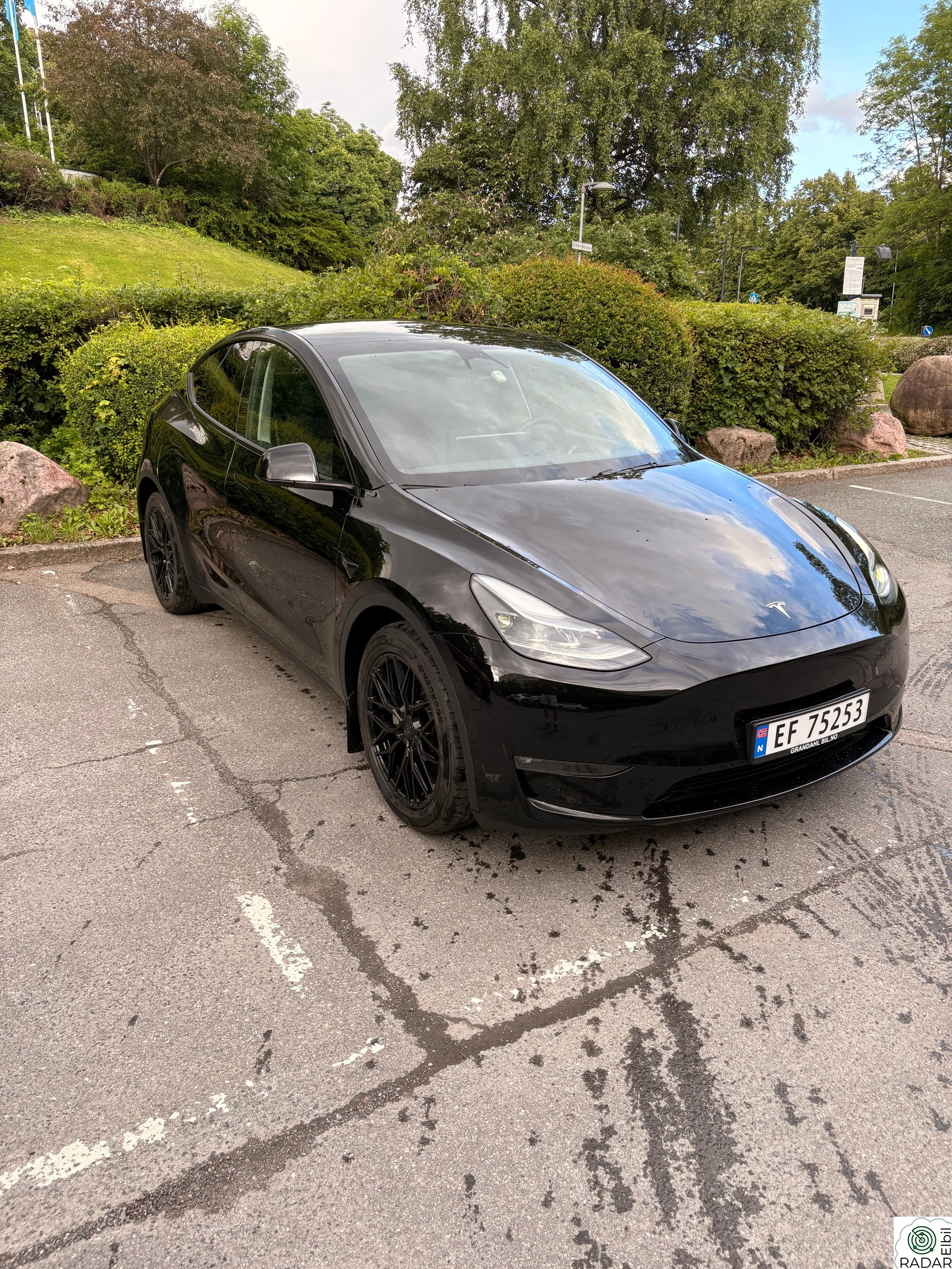 TESLA Model Y Long Range AWD