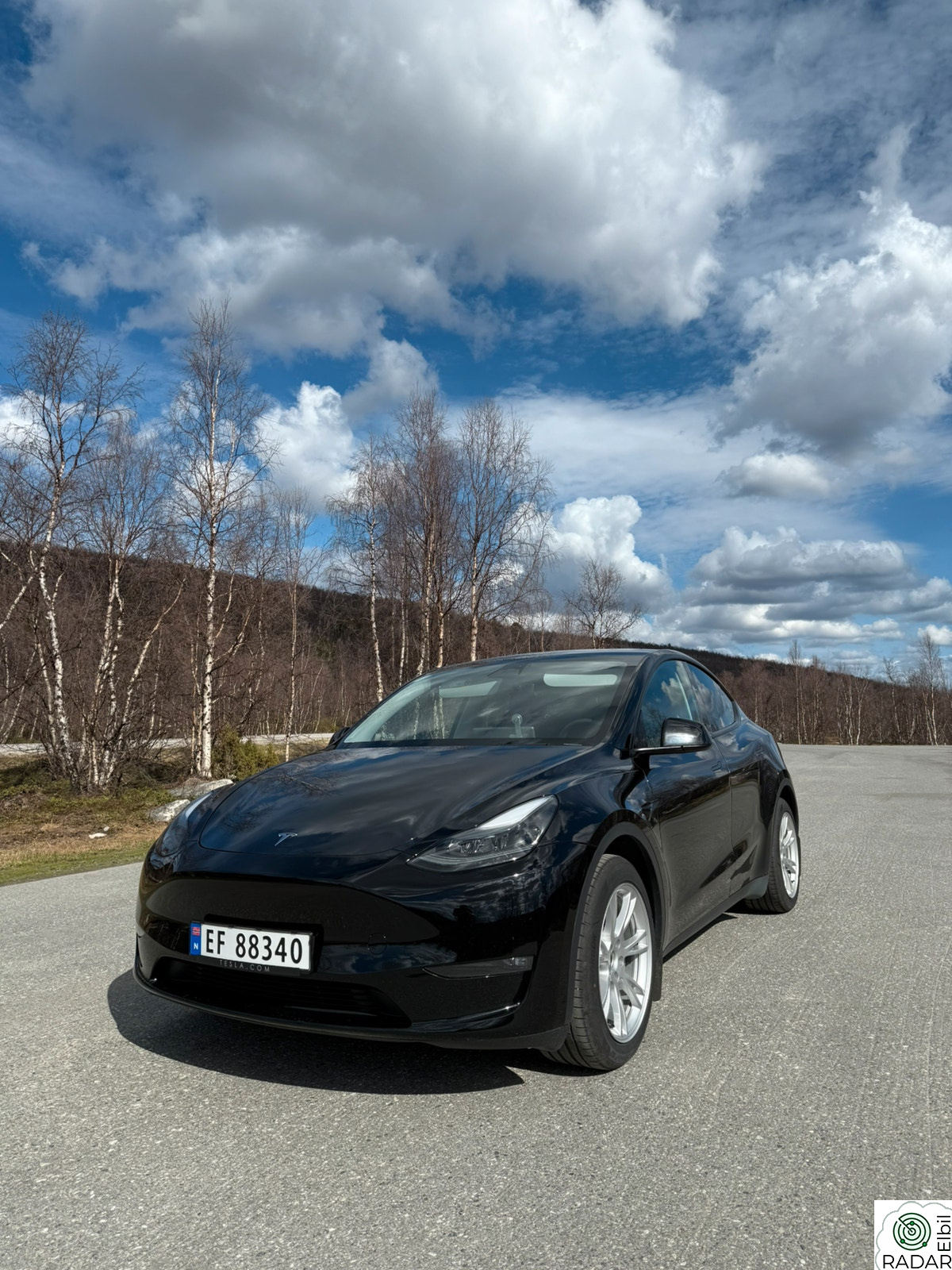 TESLA Model Y Long Range AWD