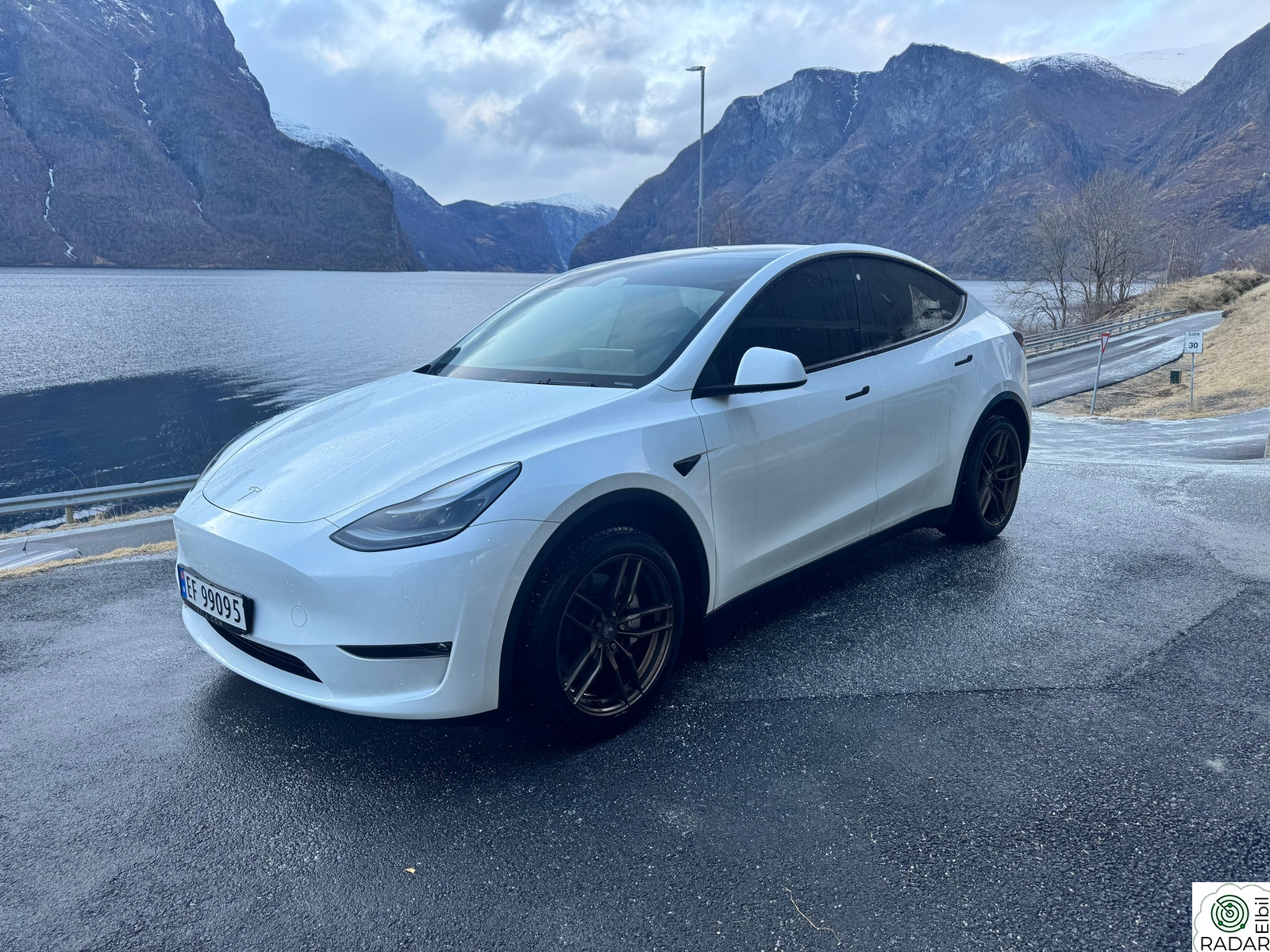 TESLA Model Y Long Range AWD
