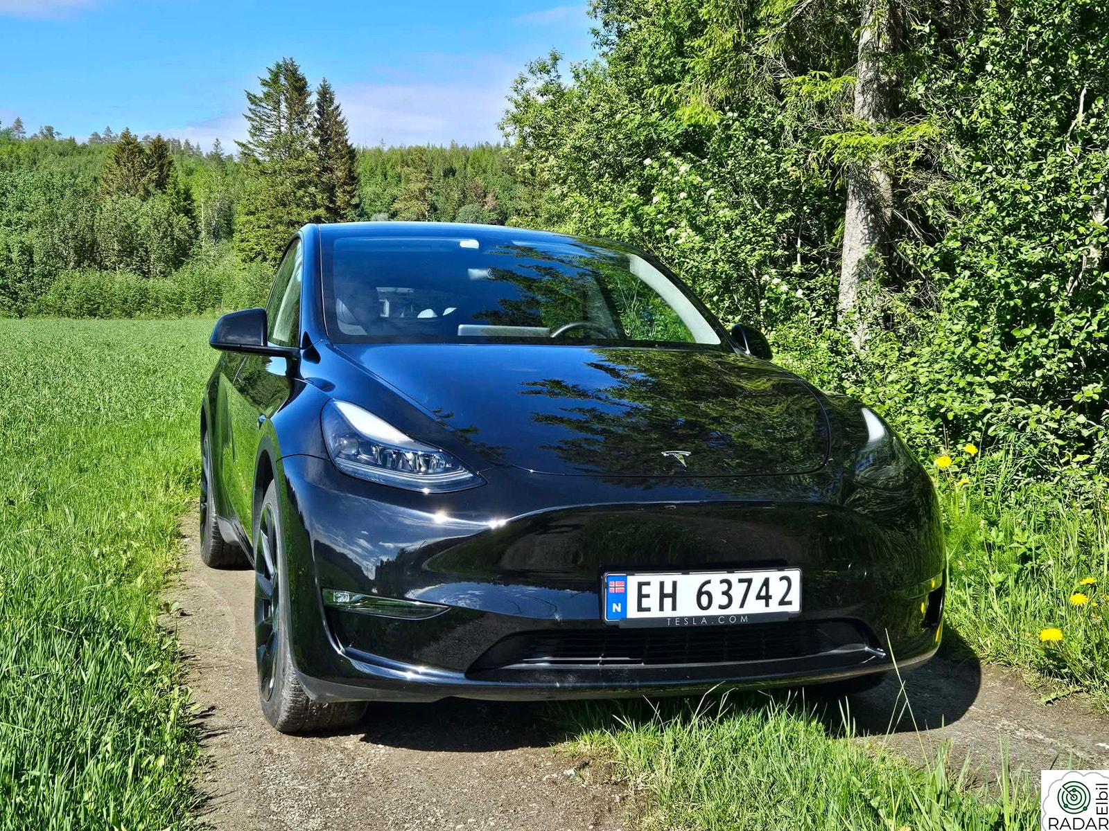 TESLA Model Y Long Range AWD