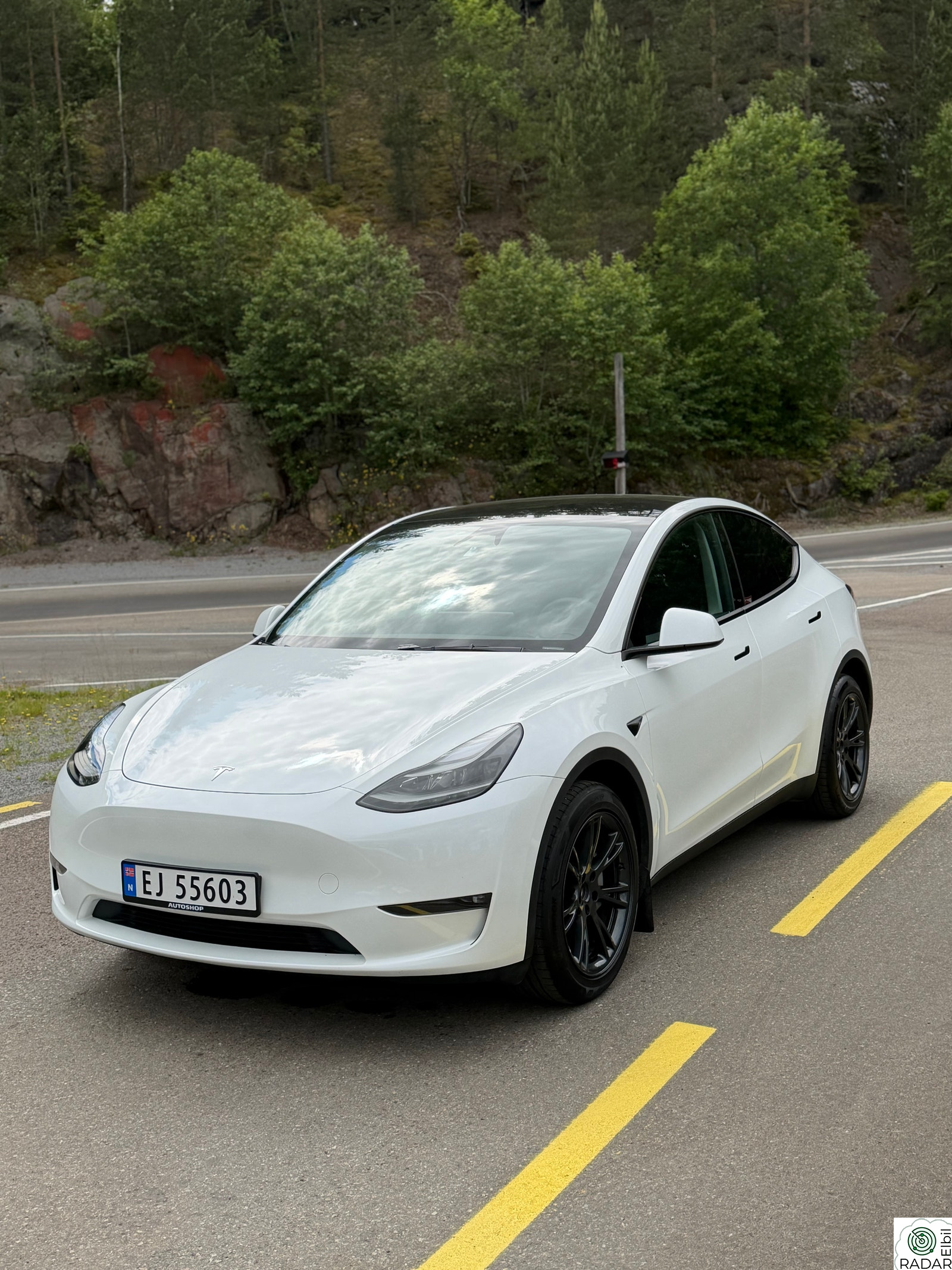 TESLA Model Y Long Range AWD