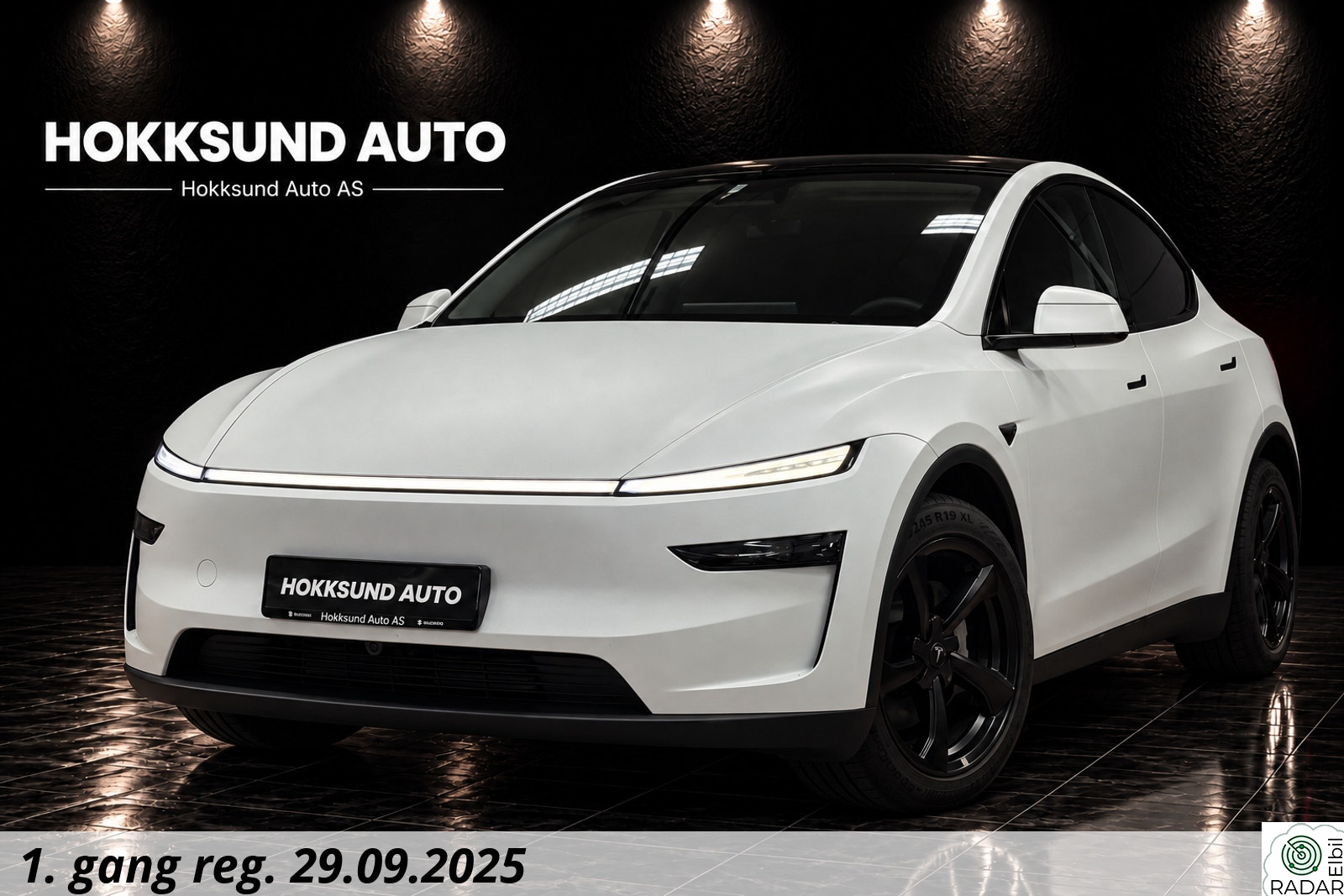 TESLA Model Y Long Range AWD JUNIPER/PPF/1 Eier/AP/19"S+V/H.Feste