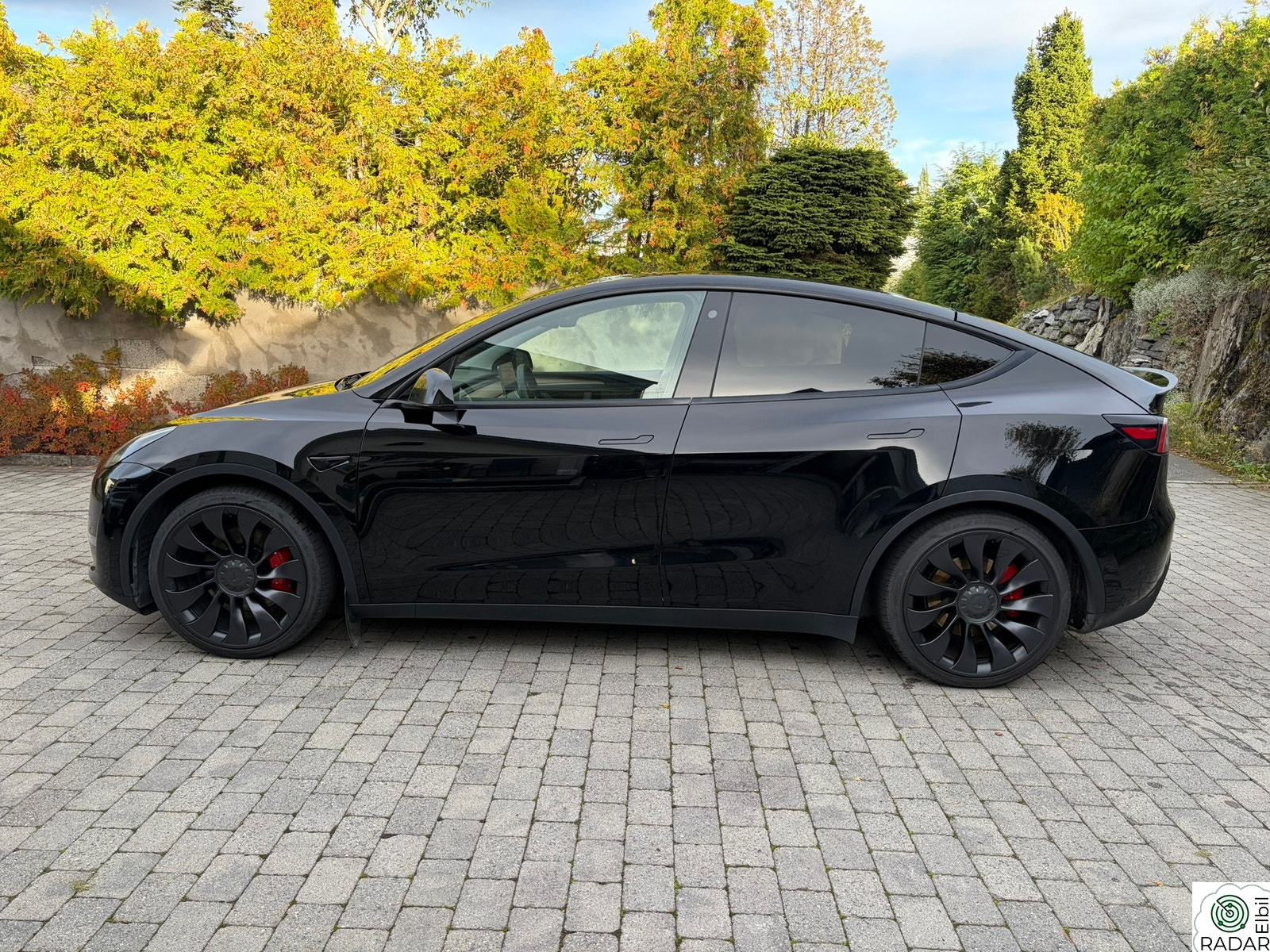TESLA Model Y Performance AWD FSD Berlin
