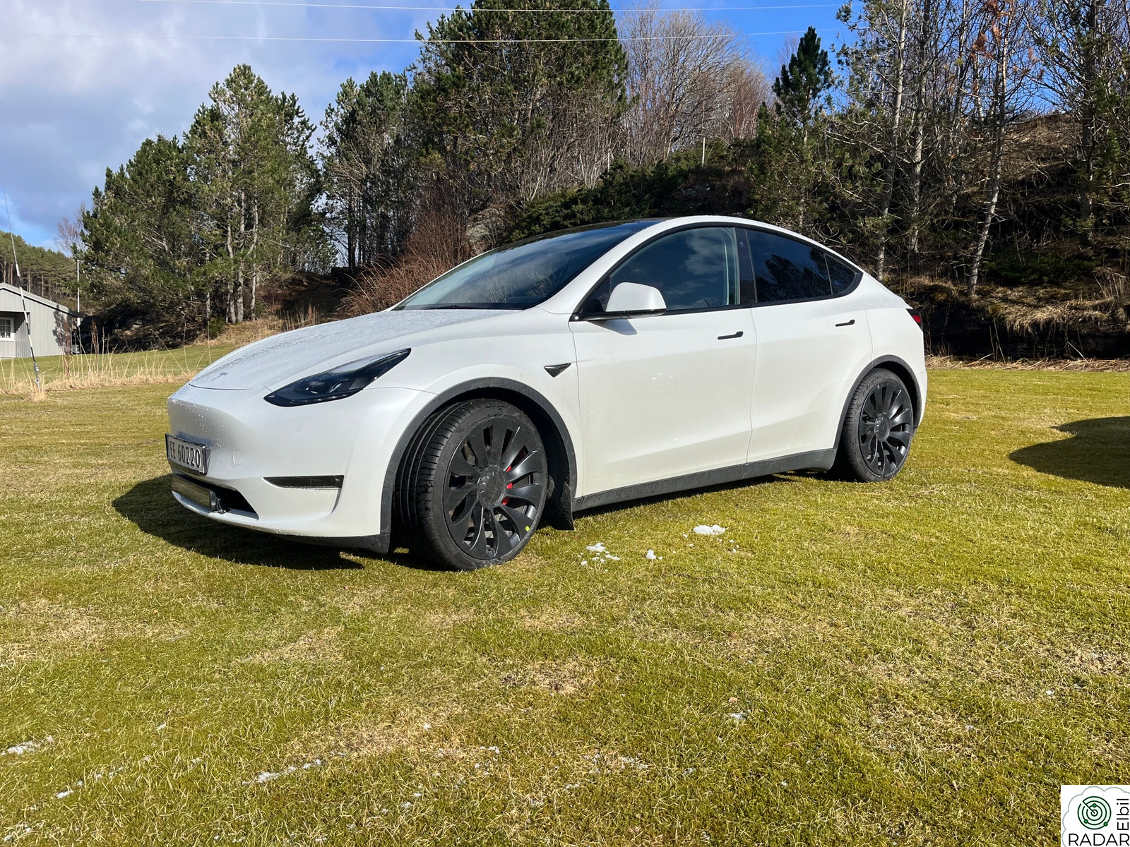TESLA Model Y Performance AWD