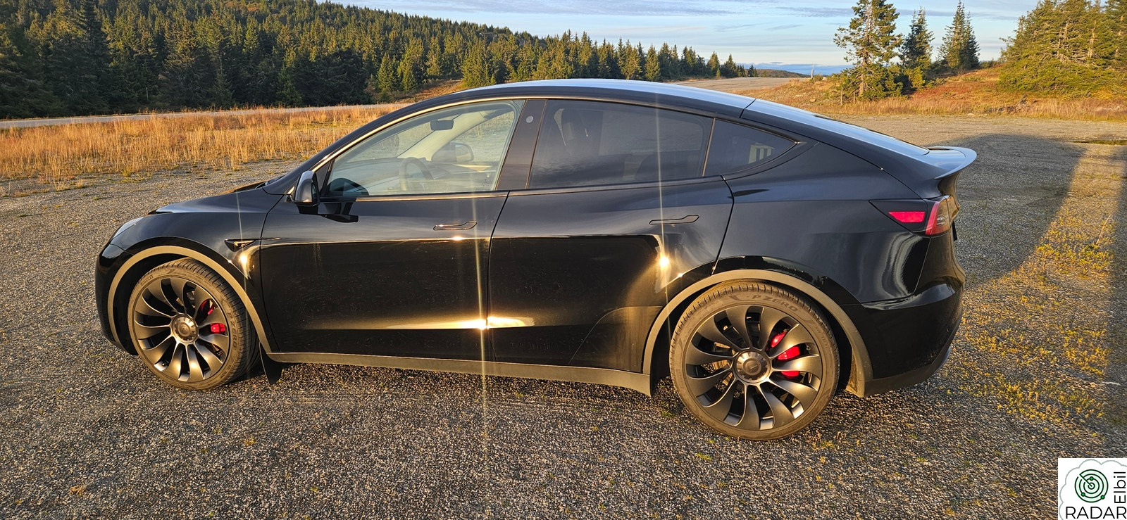 TESLA Model Y Performance AWD