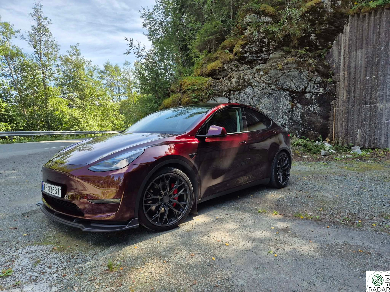 TESLA Model Y Performance AWD