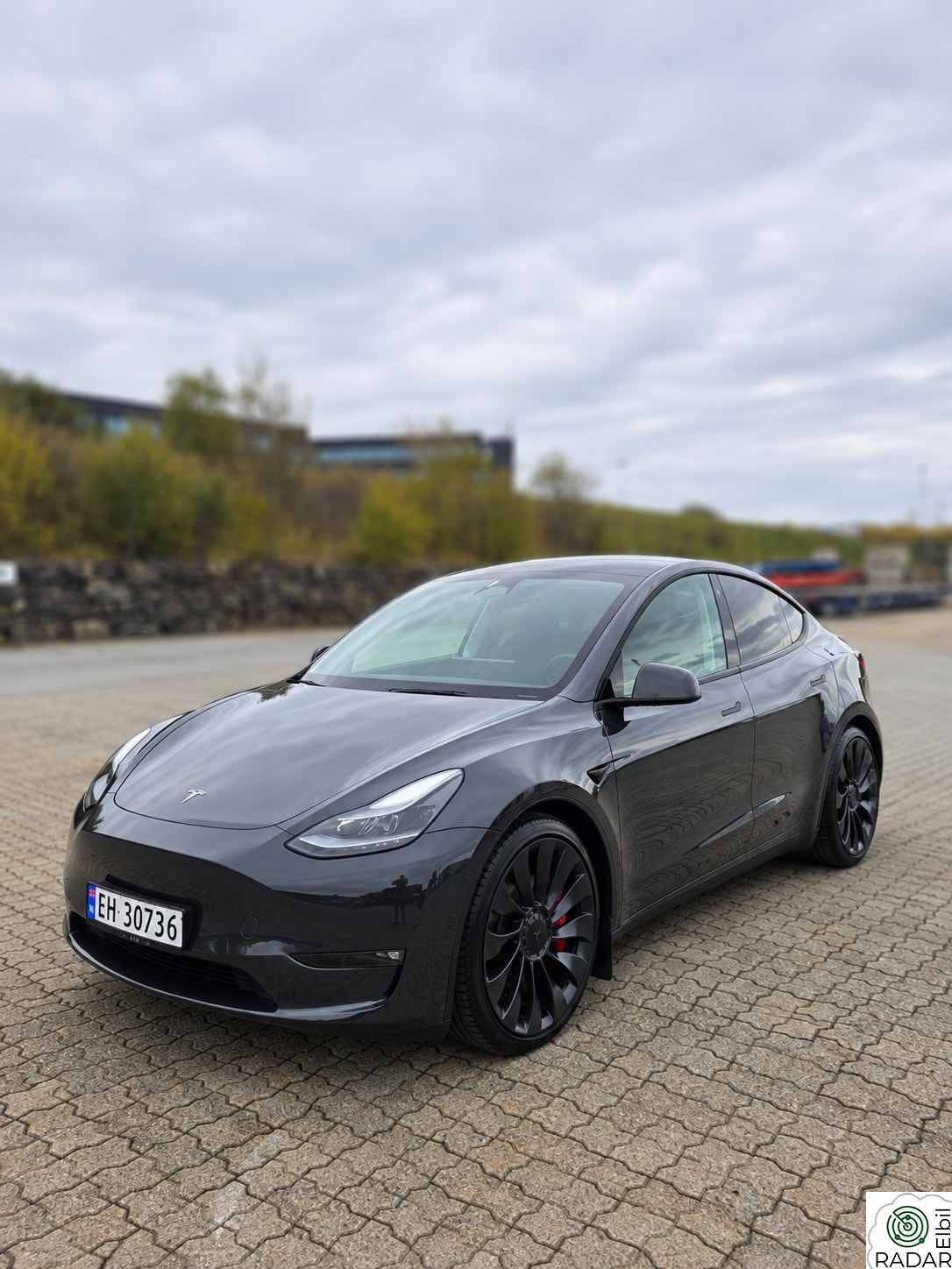 TESLA Model Y Performance AWD