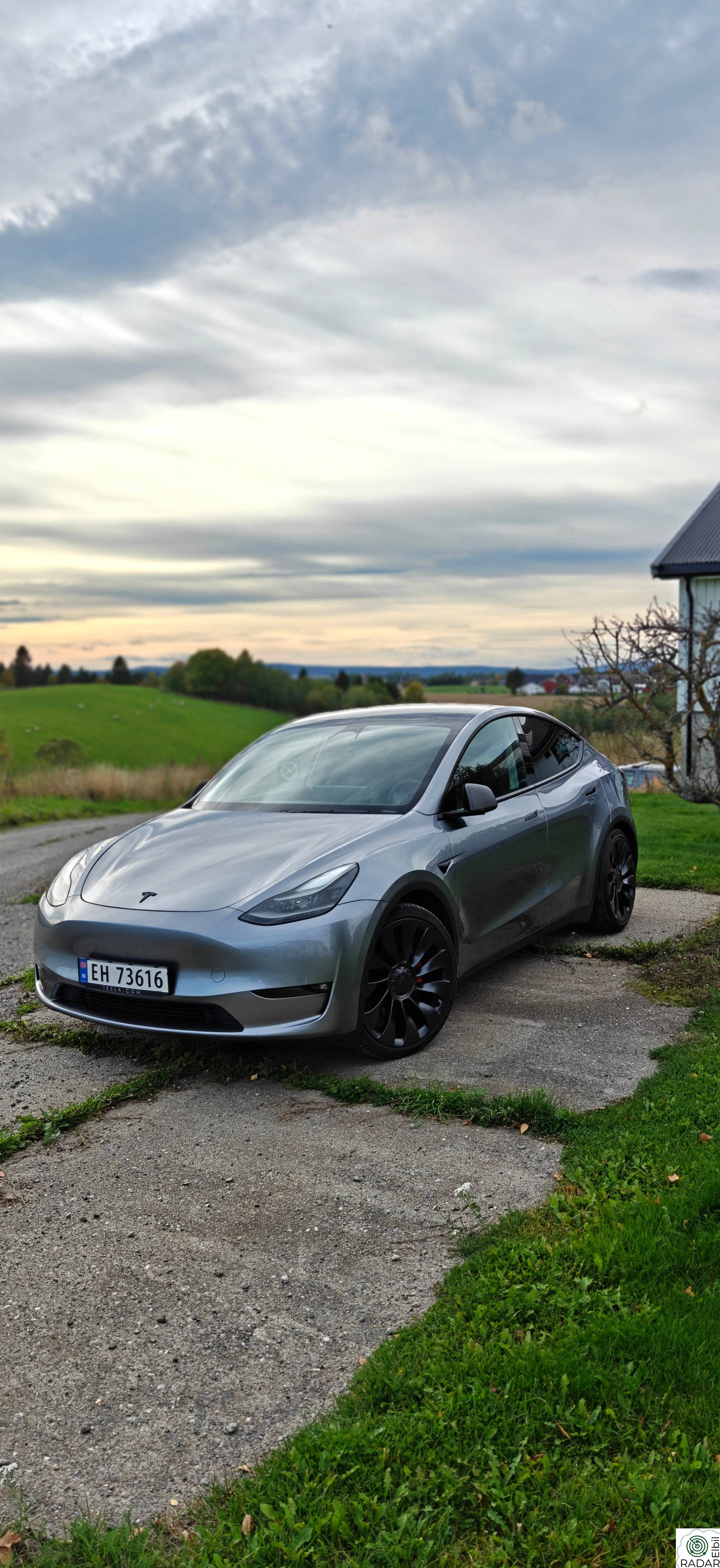 TESLA Model Y Tesla Model Y Performance Quicksilver 2024