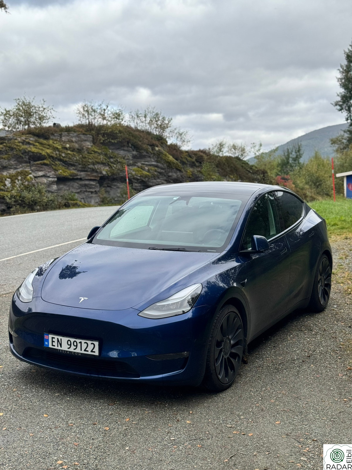 TESLA Model Y Performance AWD