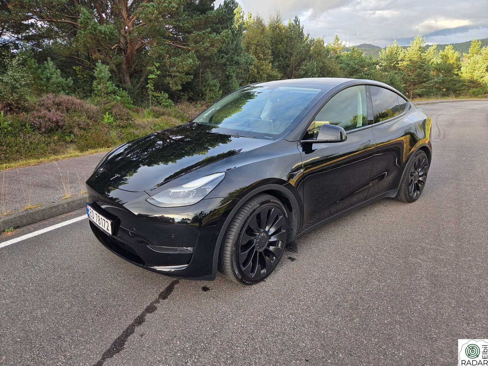 TESLA Model Y Performance AWD