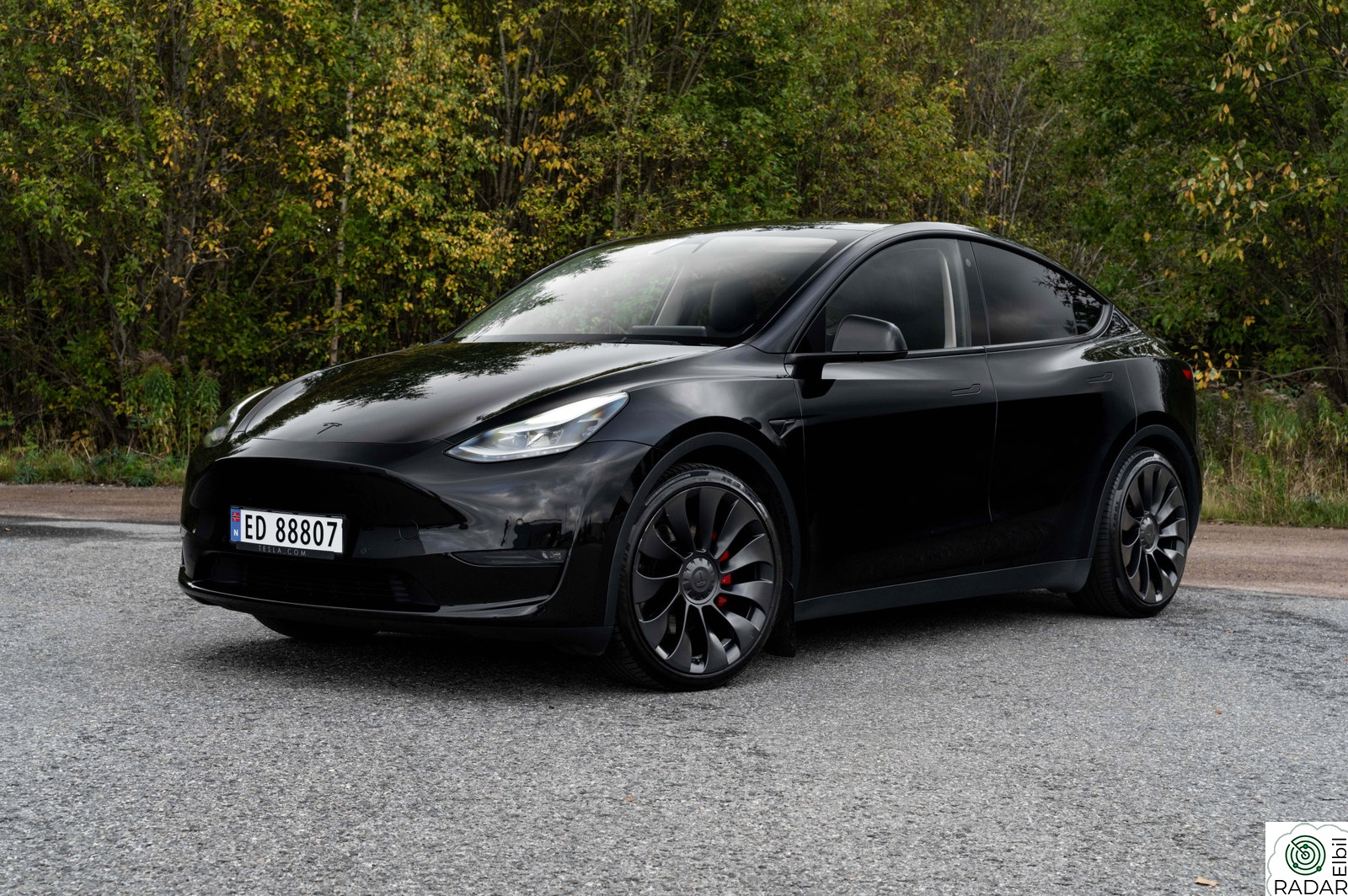 TESLA Model Y Performance AWD