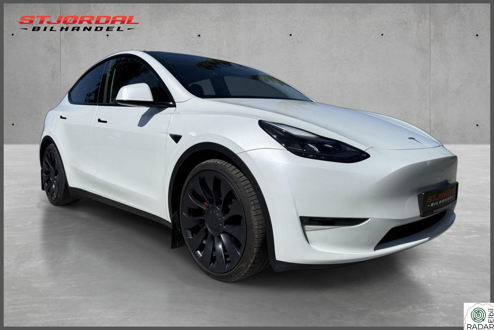 TESLA Model Y Performance