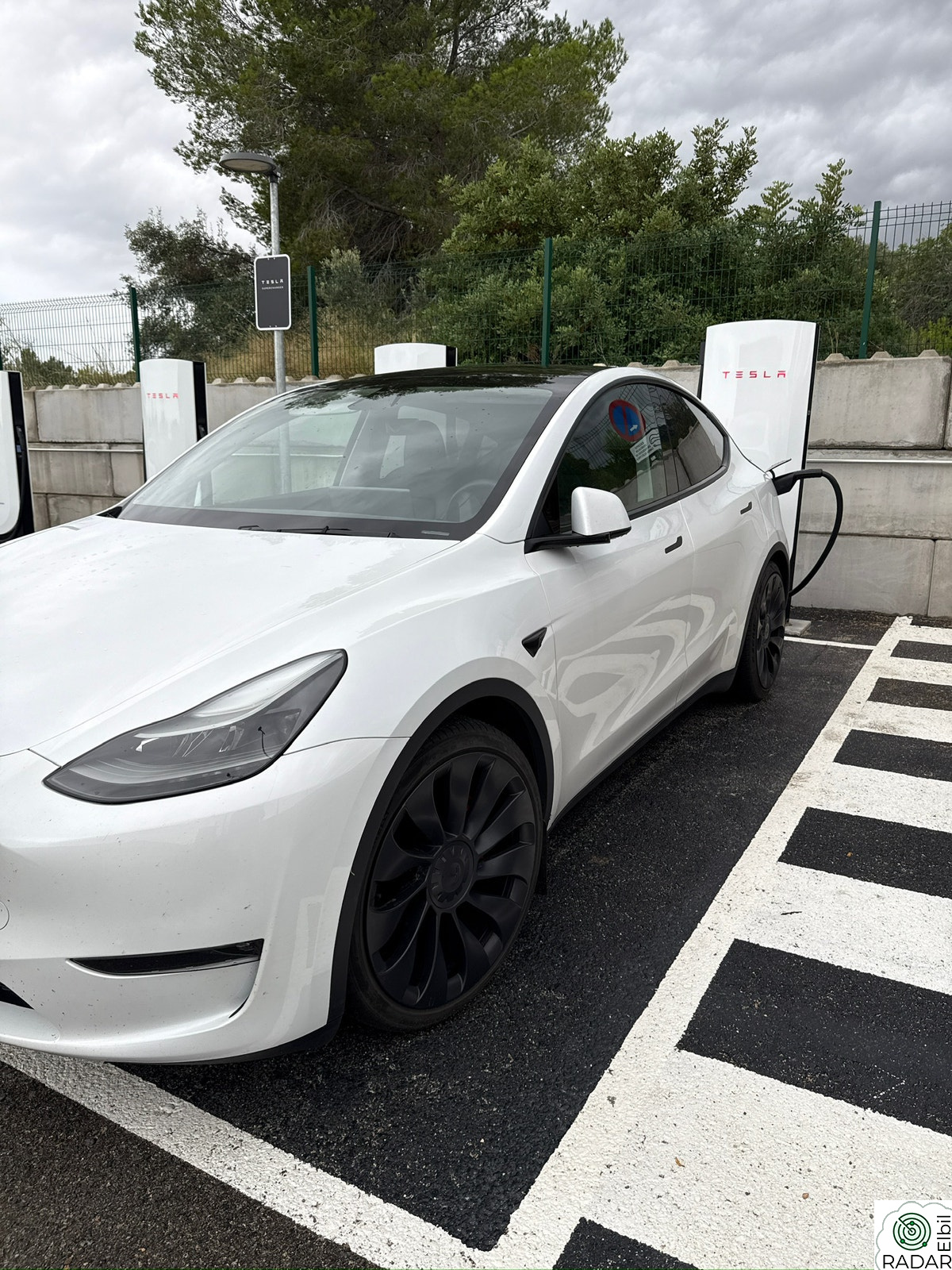 TESLA Model Y Performance AWD