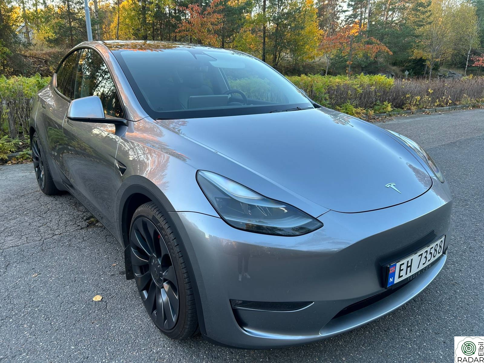 TESLA Model Y TESLA Model Y