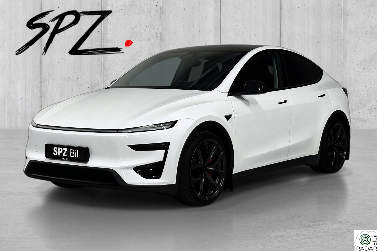 TESLA Model Y Juniper | Performance | Krok | Pano | Skinn | 8x21" |