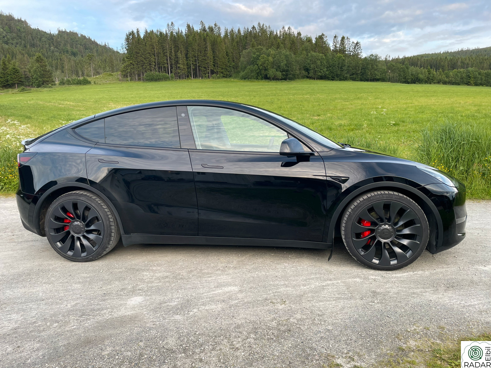 TESLA Model Y Performance AWD
