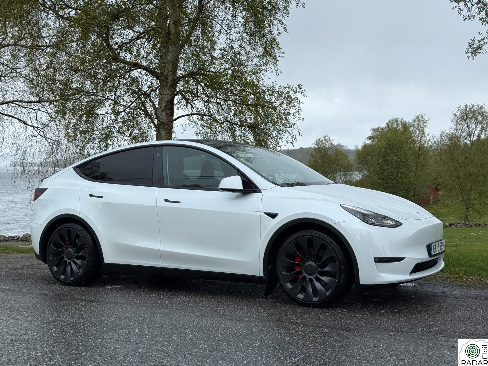 TESLA Model Y Performance AWD