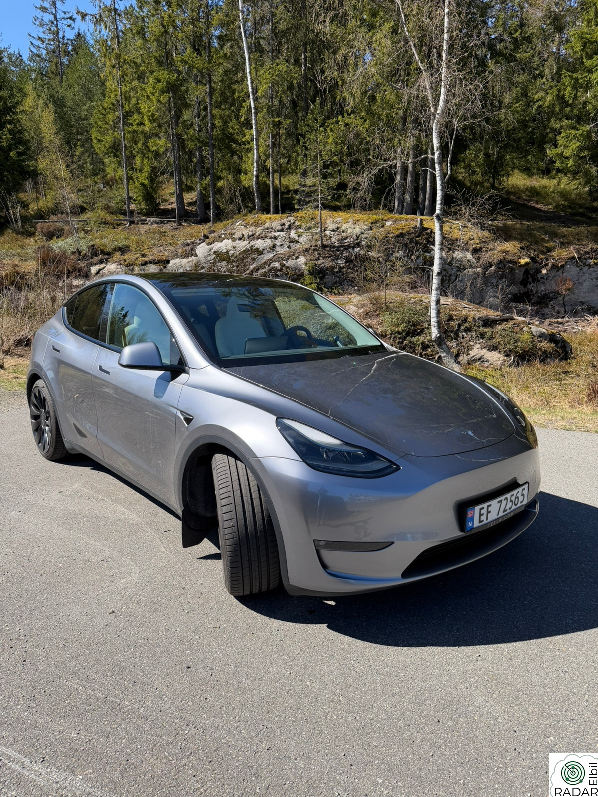 TESLA Model Y Performance AWD