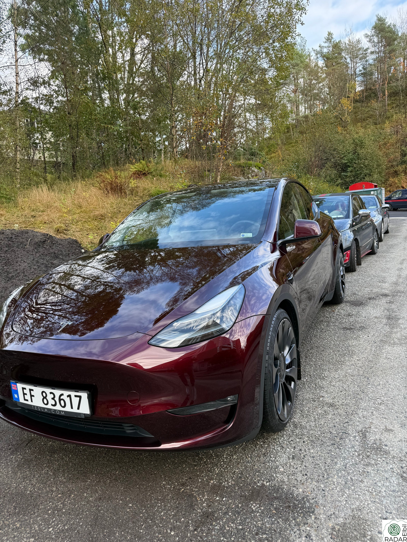 TESLA Model Y Performance AWD