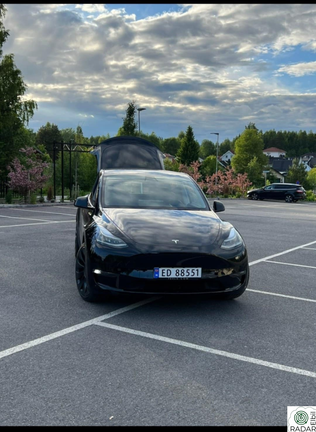TESLA Model Y Performance AWD