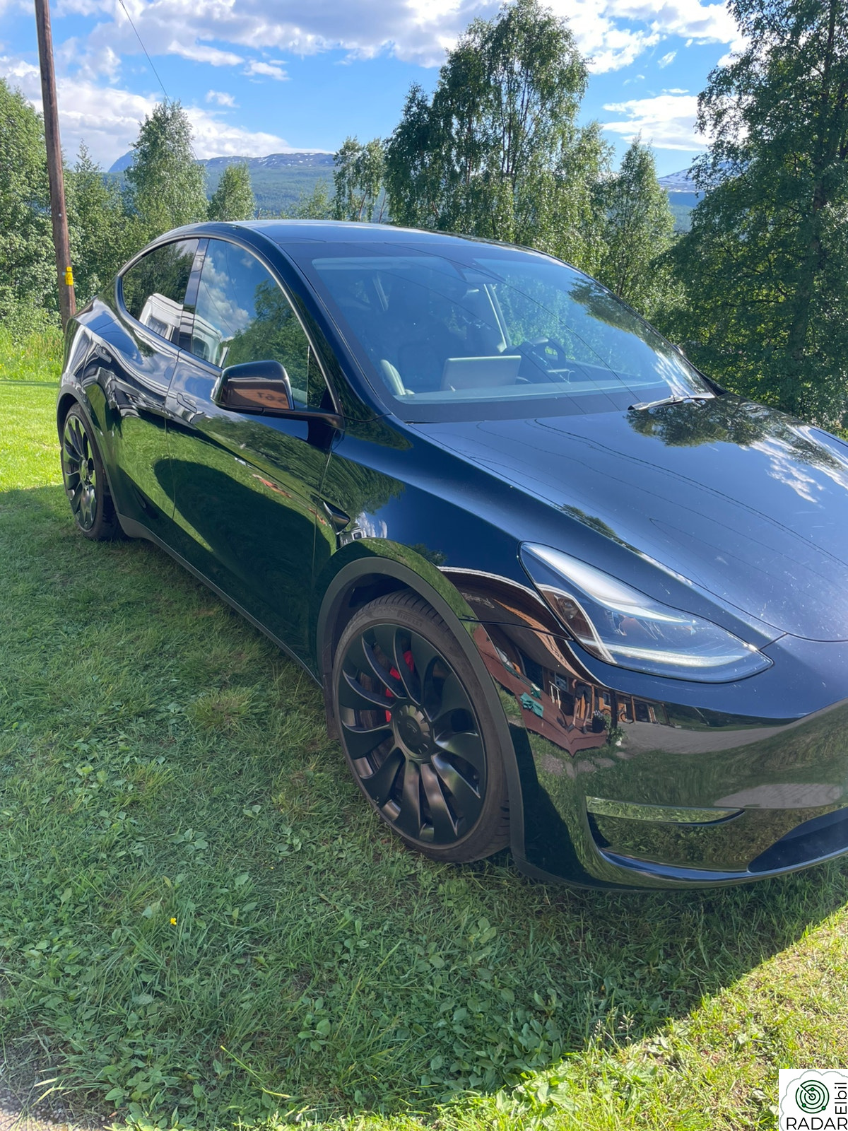 TESLA Model Y Performance AWD