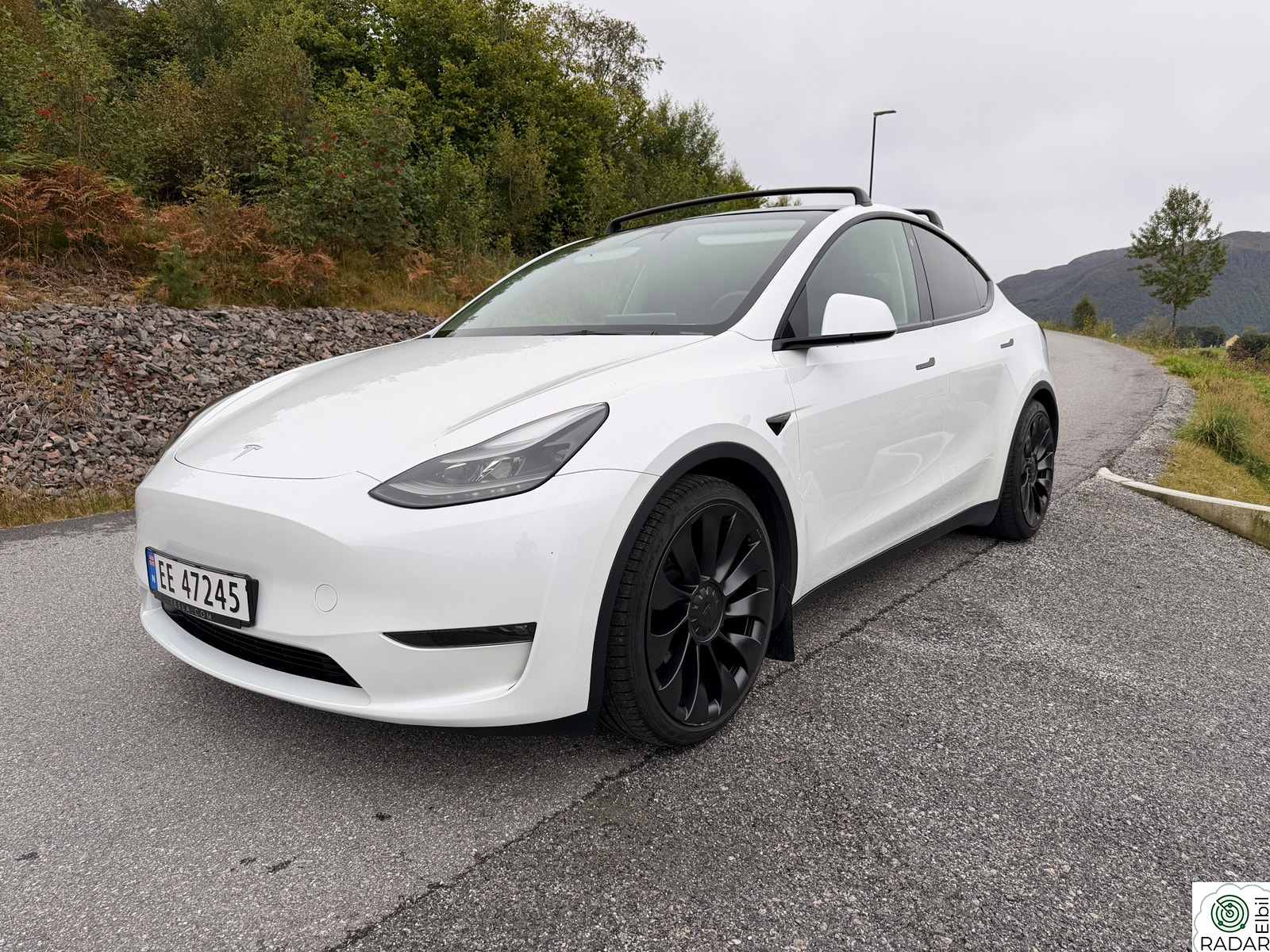 TESLA Model Y Performance AWD