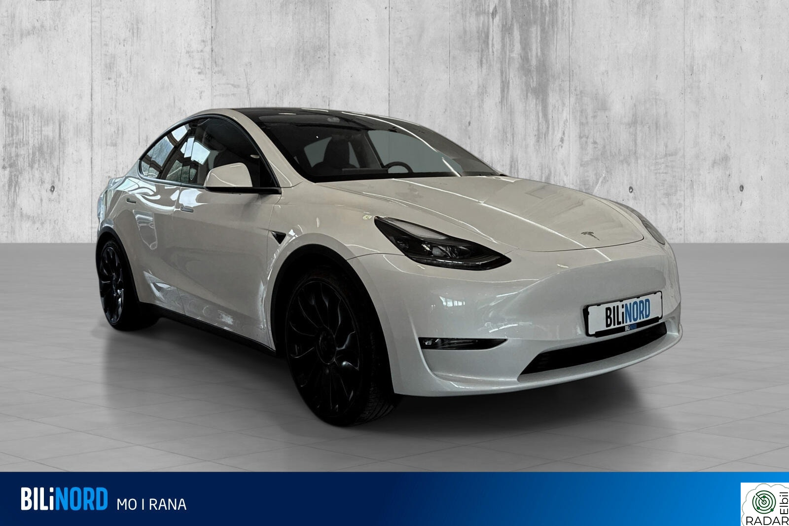 TESLA Model Y Performance AWD