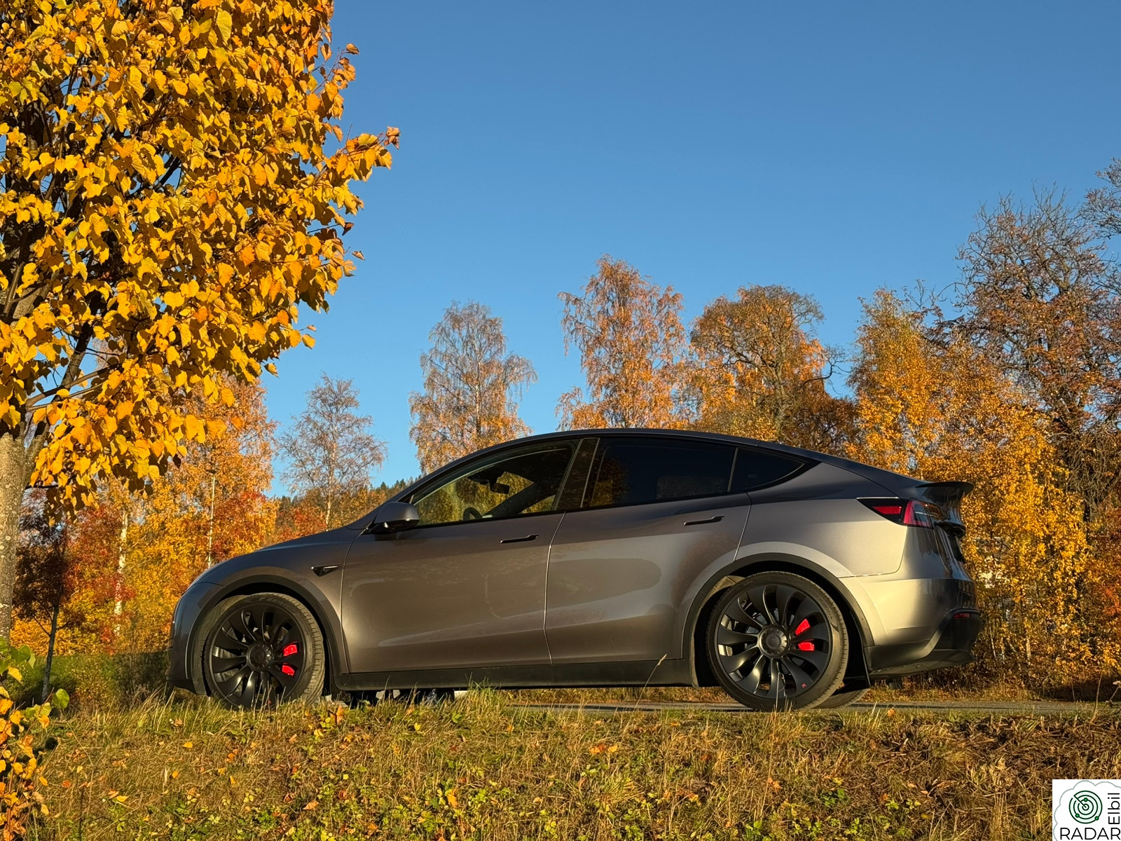 TESLA Model Y Performance AWD