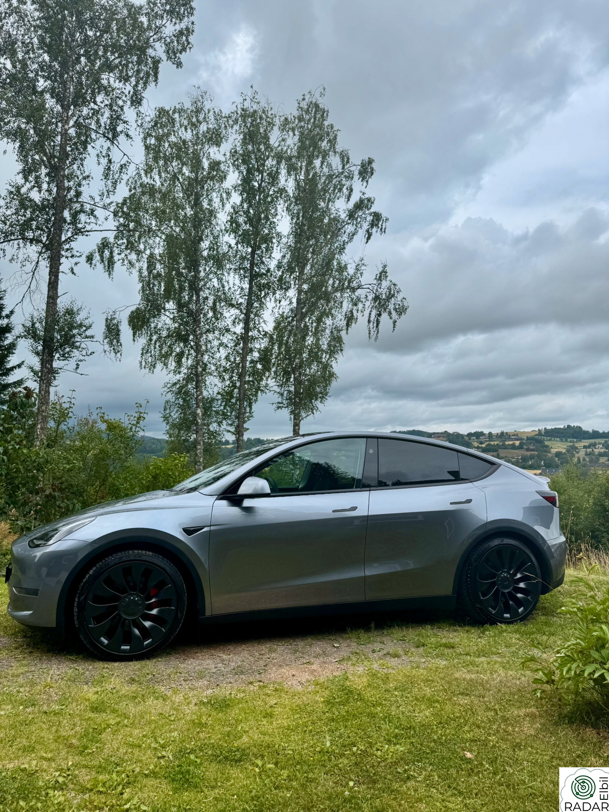 TESLA Model Y Performance AWD