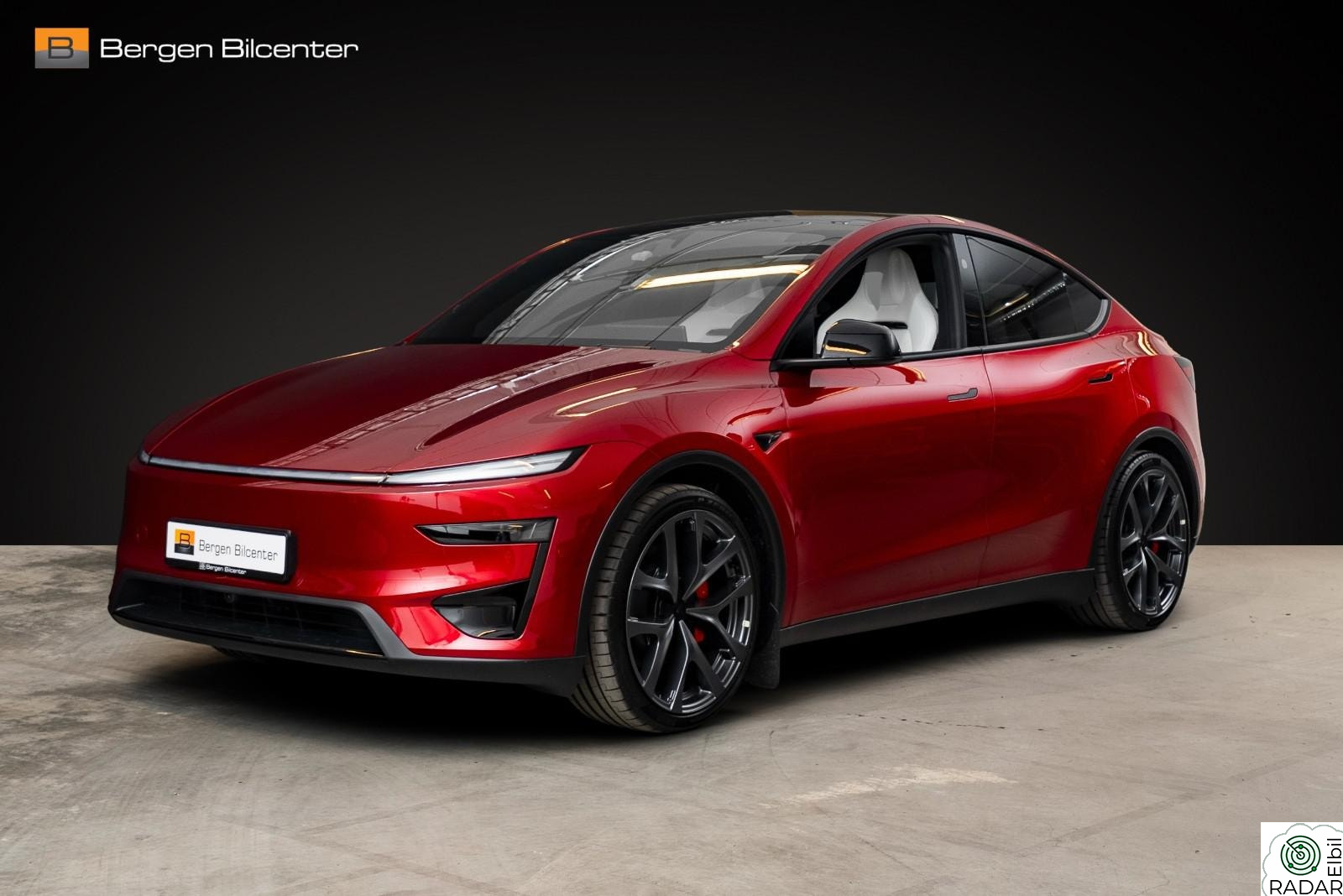 TESLA Model Y JUNIPER Performance Premium Hengefeste