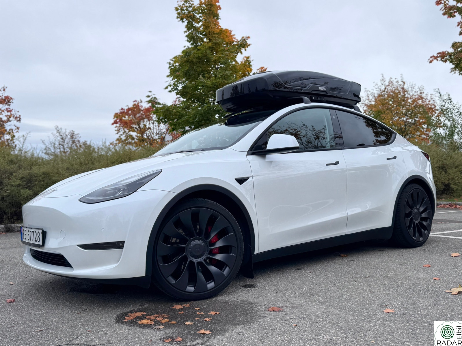 TESLA Model Y Performance AWD
