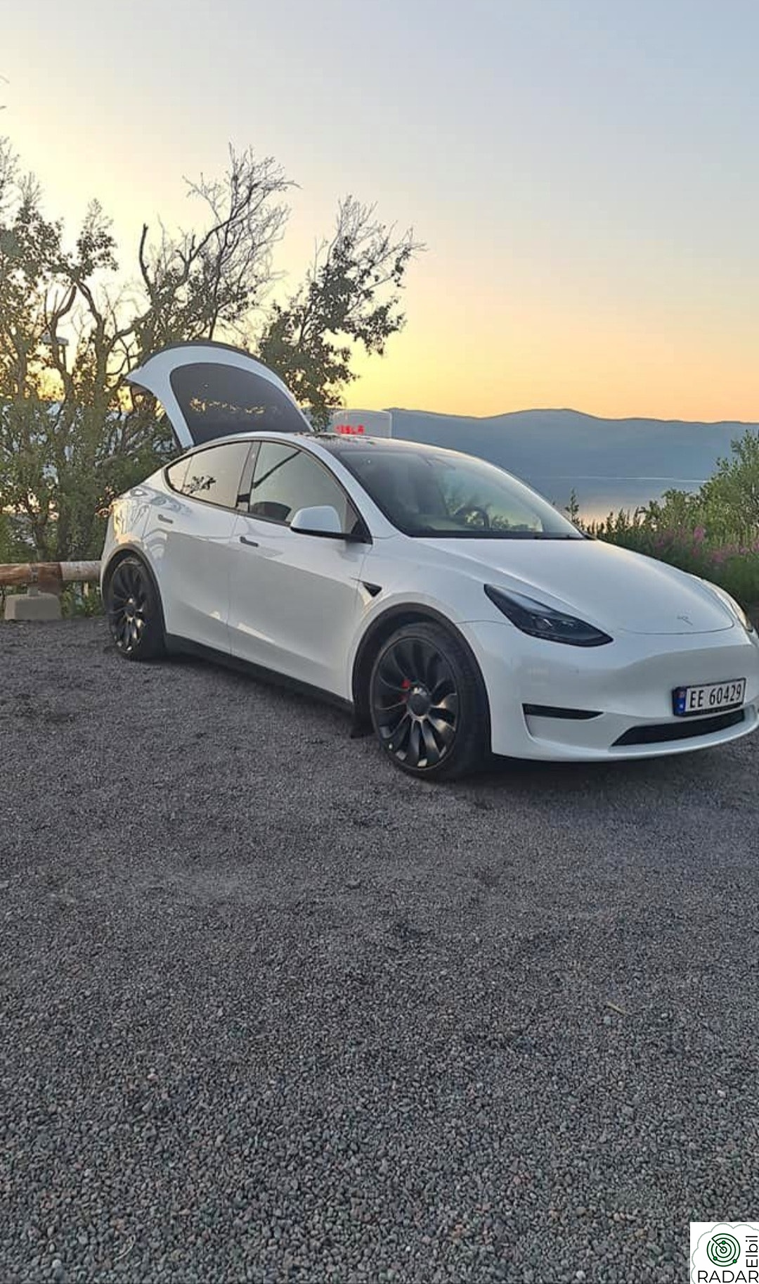 TESLA Model Y Performance AWD