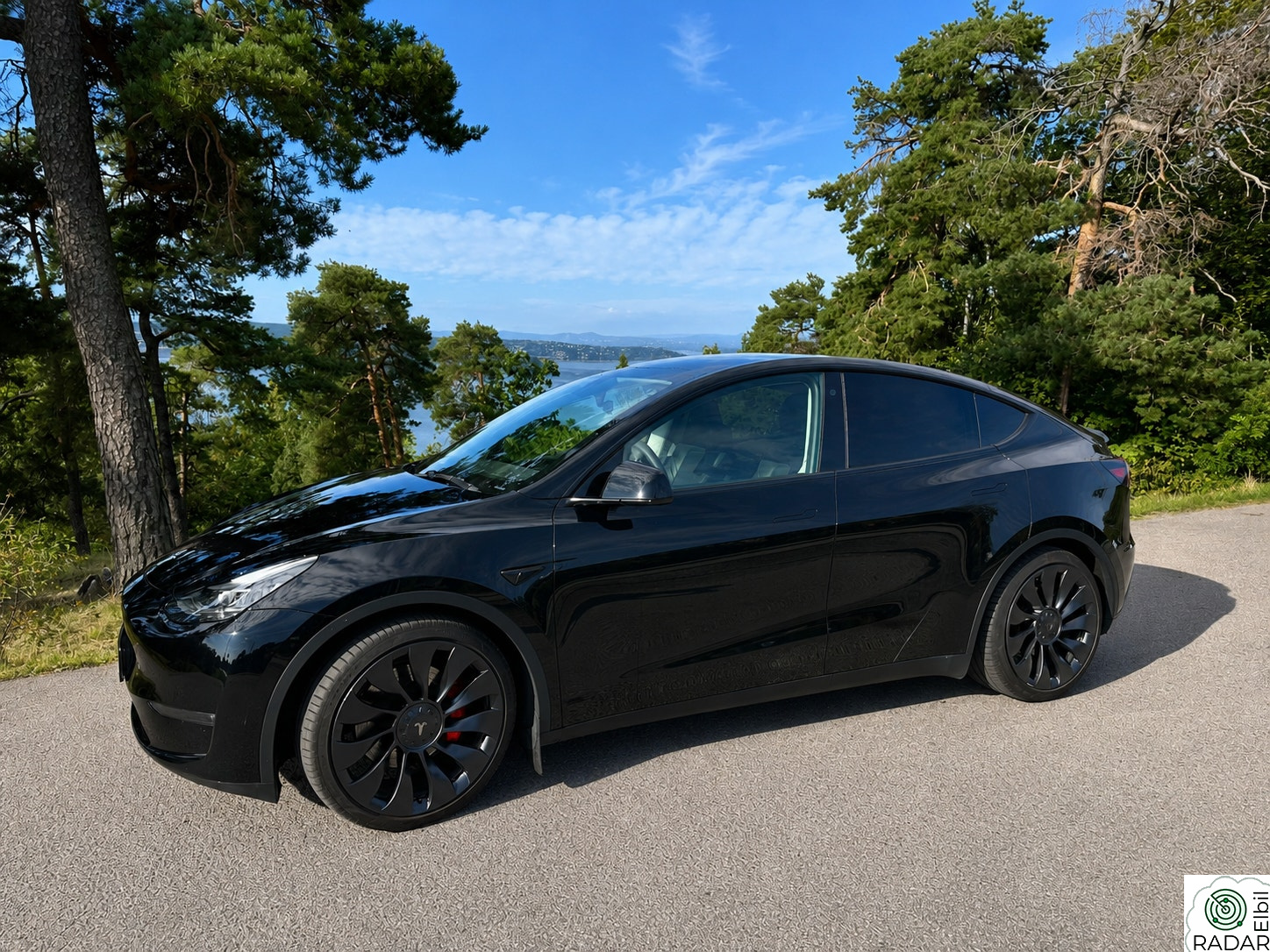 TESLA Model Y Performance AWD