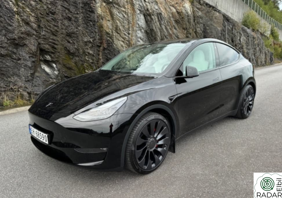 TESLA Model Y Performance AWD