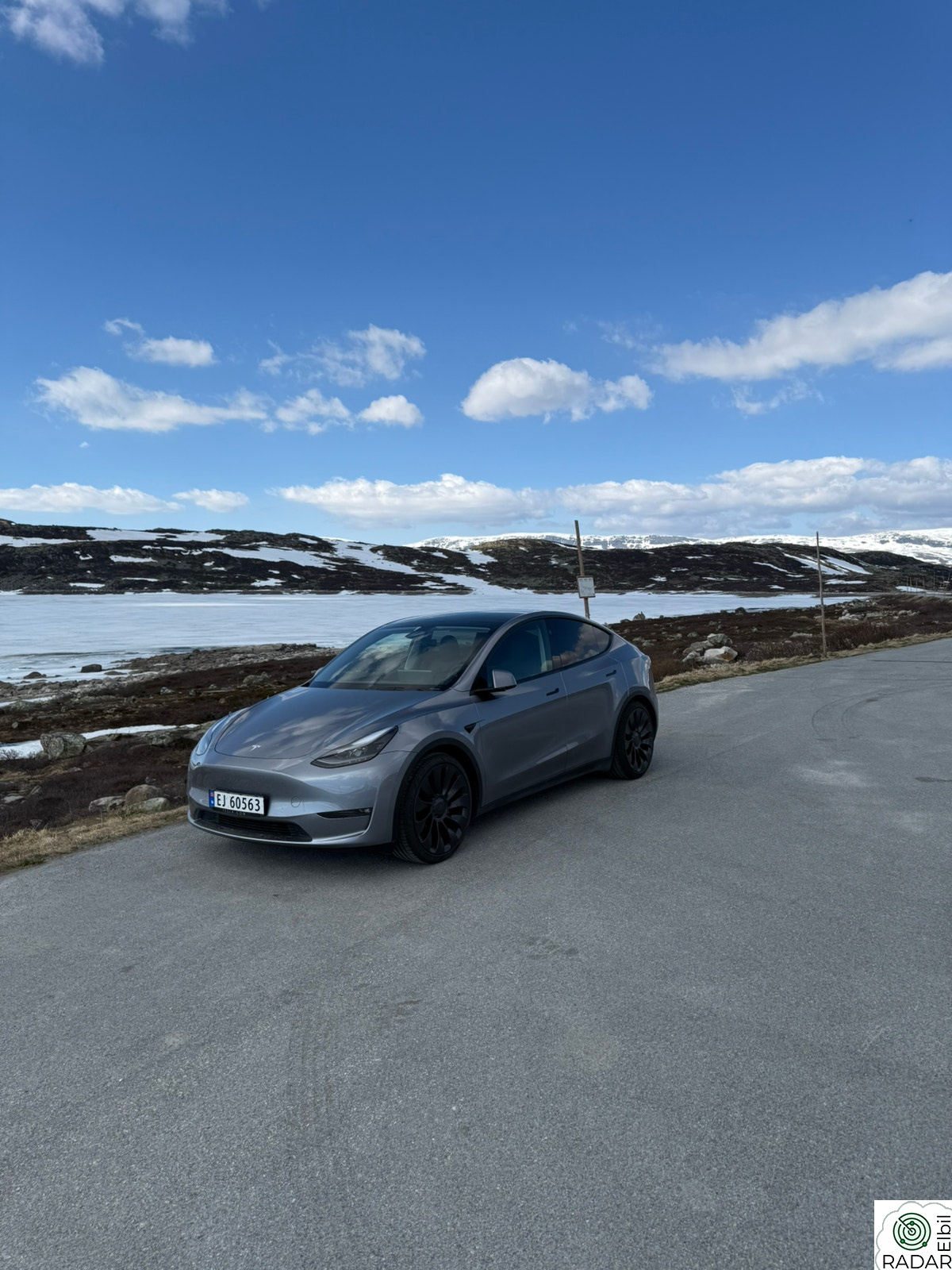TESLA Model Y Performance AWD