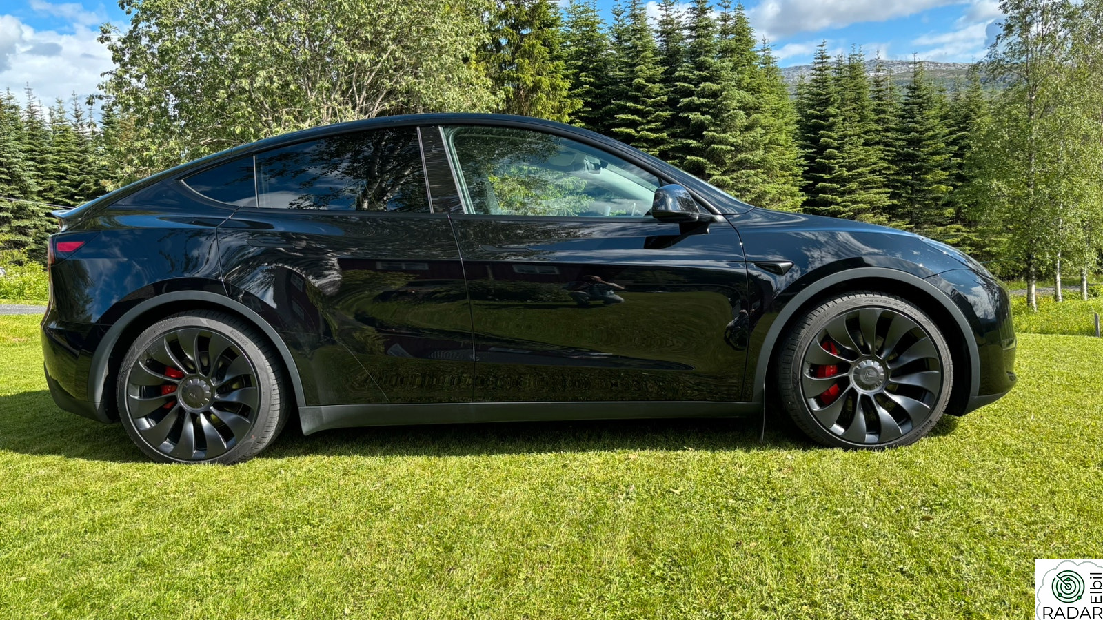 TESLA Model Y Performance