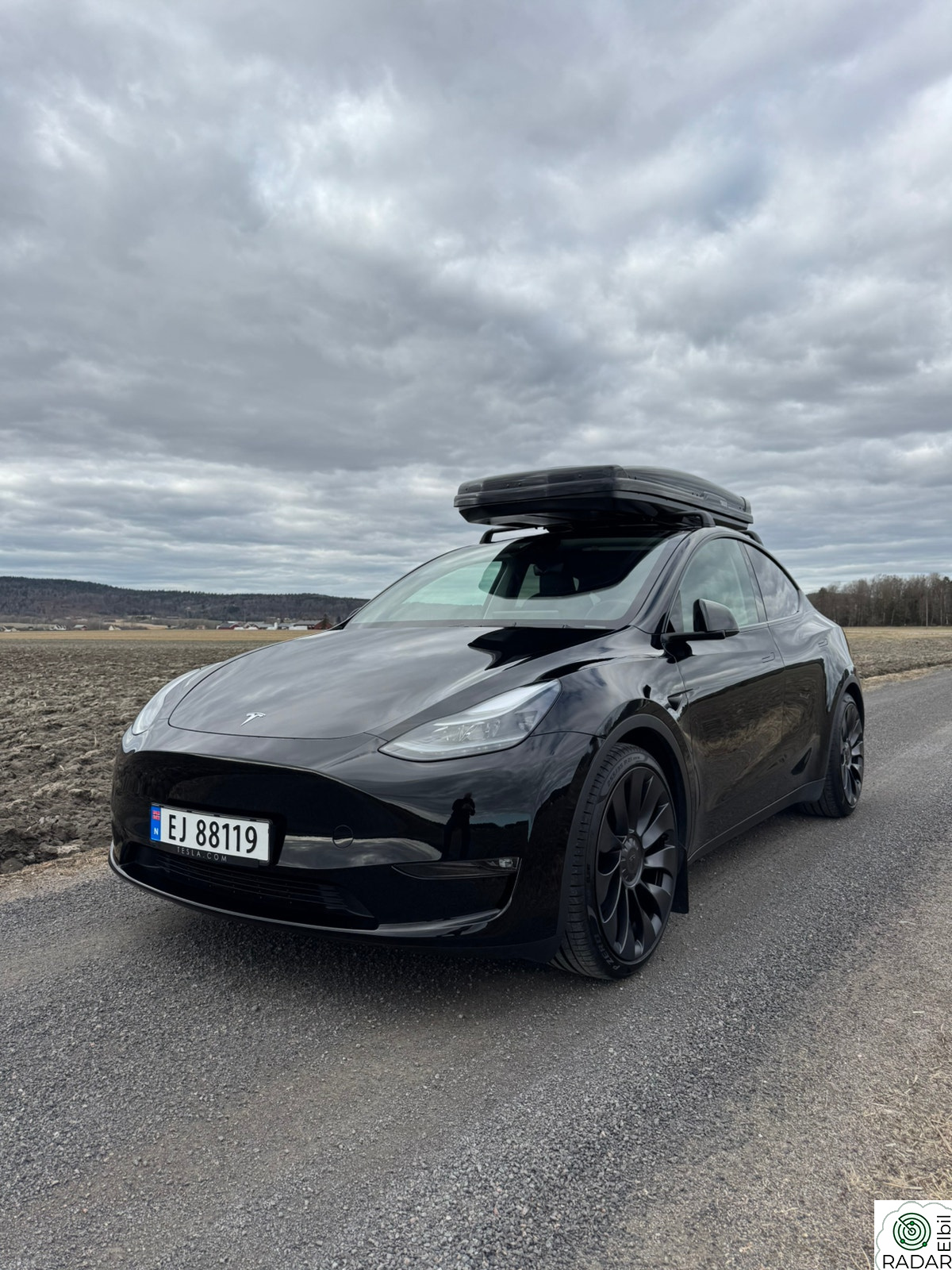 TESLA Model Y Performance AWD