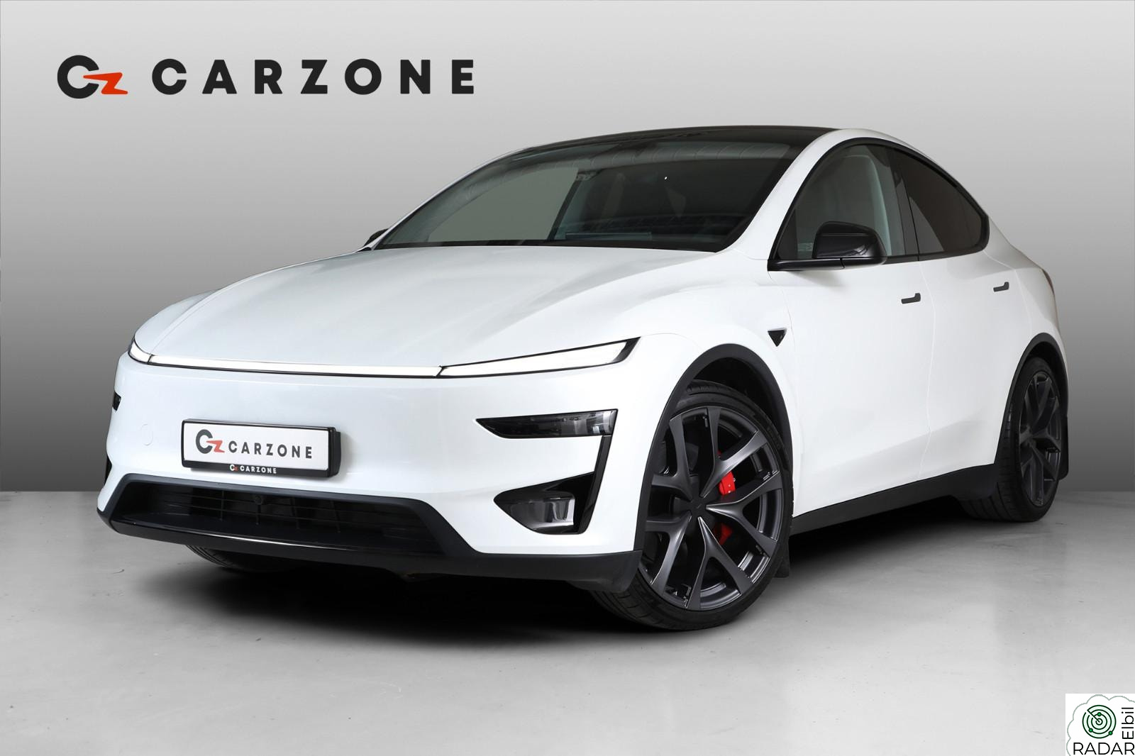 TESLA Model Y PERFORMANCE JUNIPER/AP/SKINN/HIFI/VINTER/KROK/21"+21"