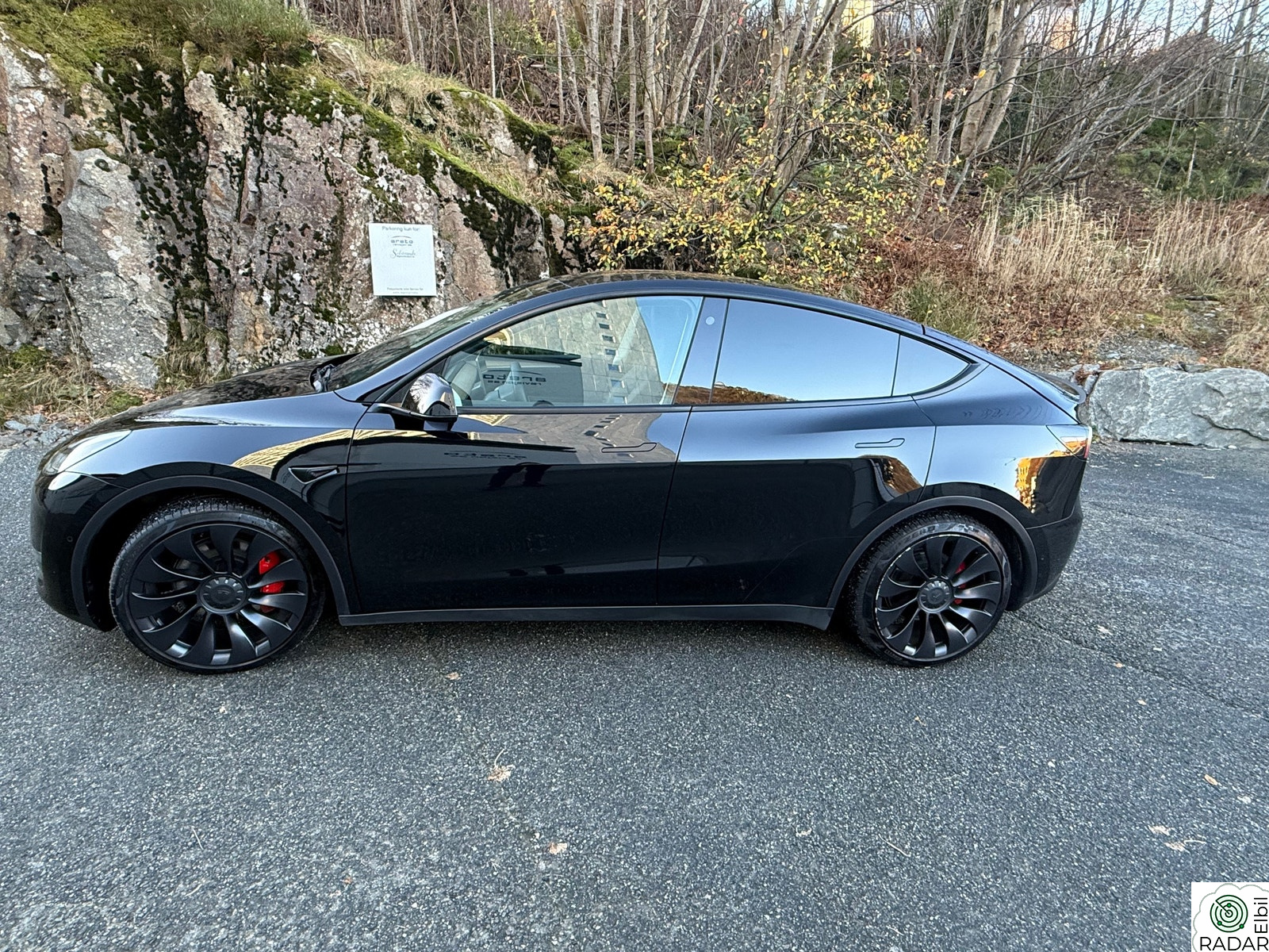 TESLA Model Y Performance AWD
