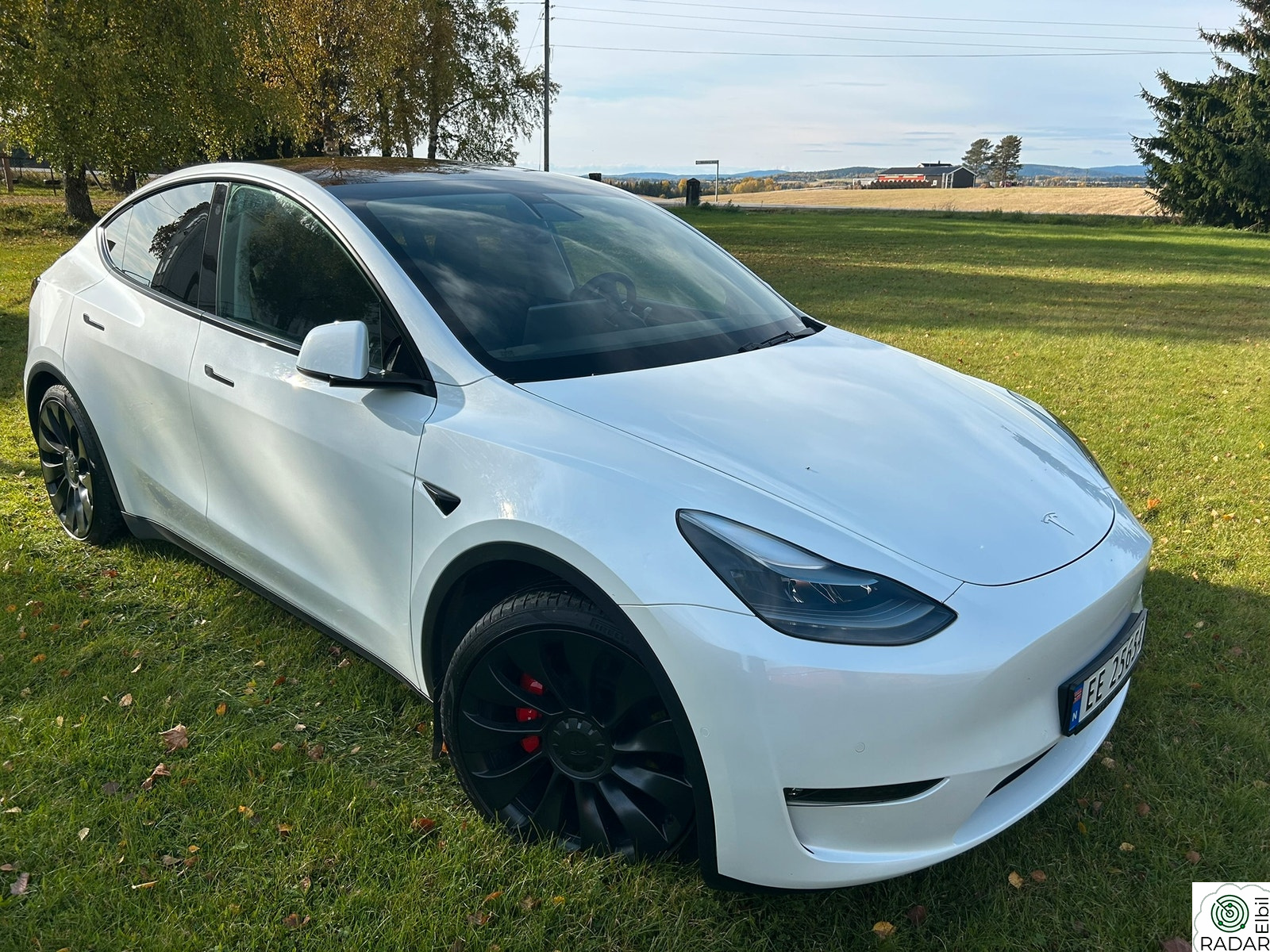 TESLA Model Y Performance AWD