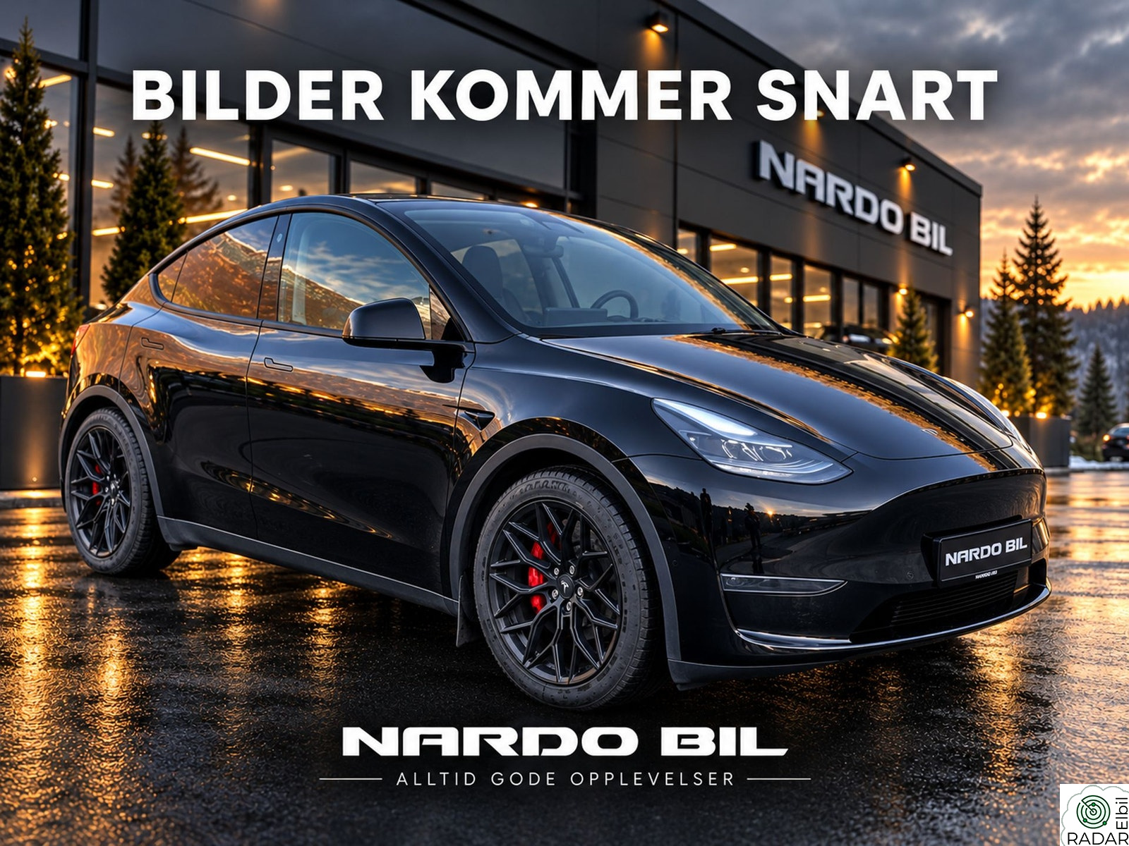 TESLA Model Y AWD Performance/Krok/Matrix/Autopilot