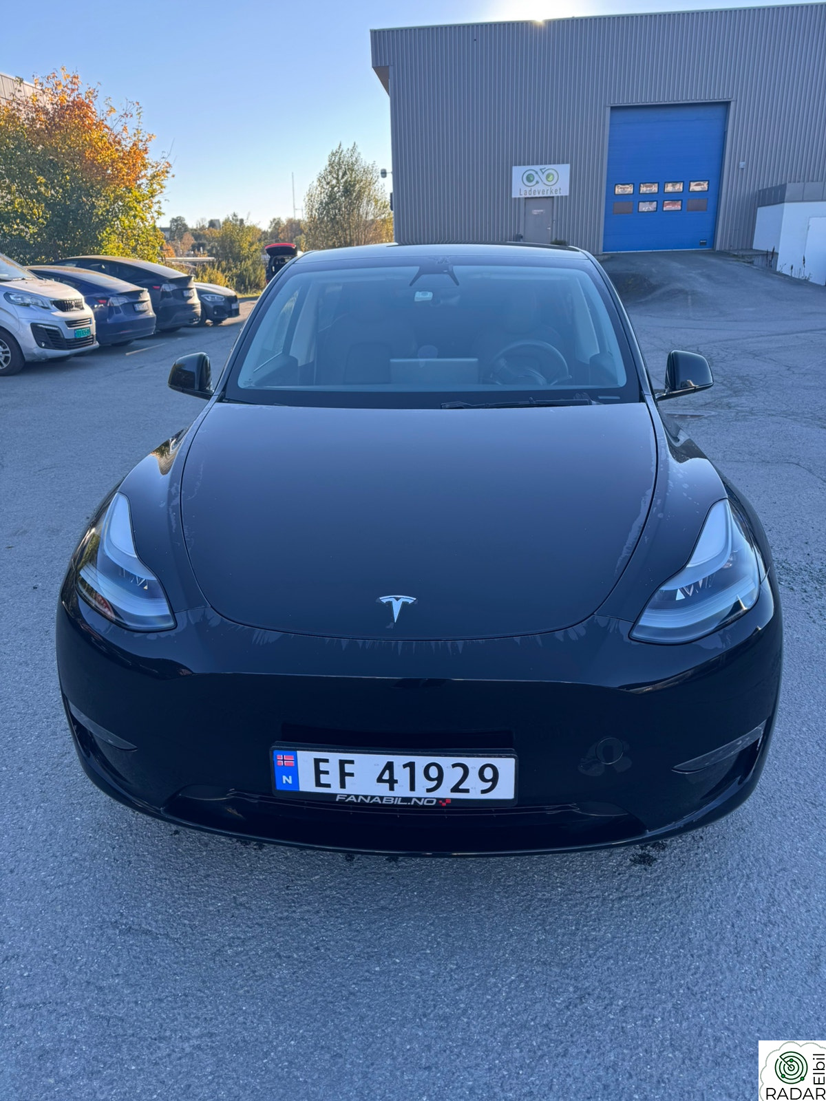 TESLA Model Y Performance AWD
