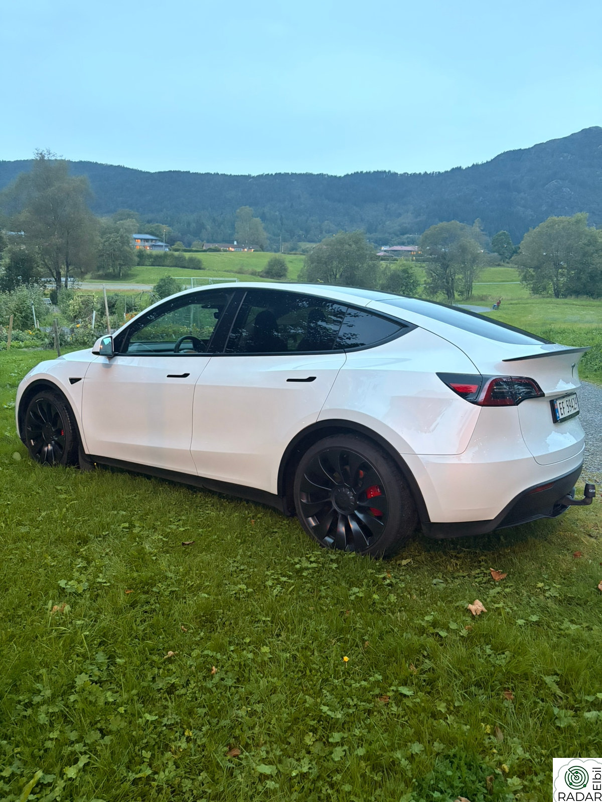 TESLA Model Y Performance AWD