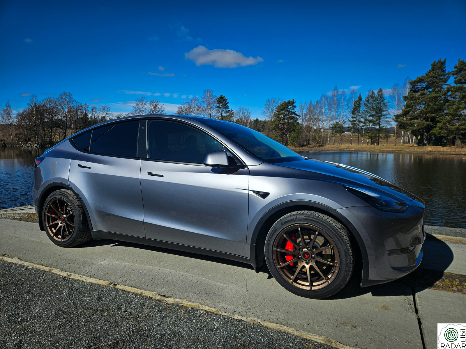 TESLA Model Y Performance