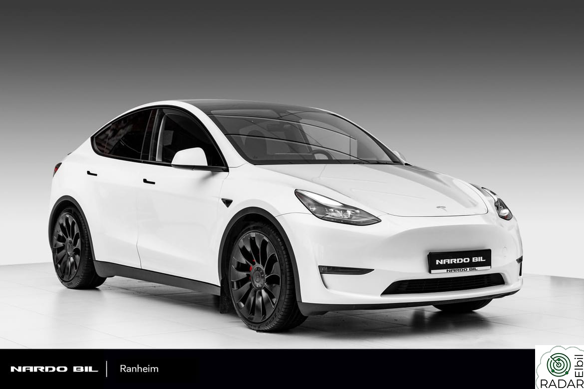 TESLA Model Y LR AWD Performance/Krok/Matrix
