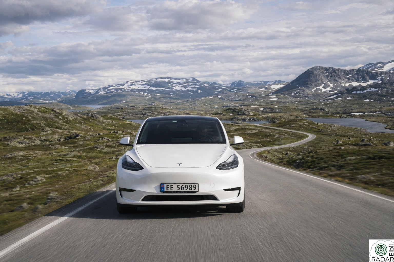 TESLA Model Y Performance AWD