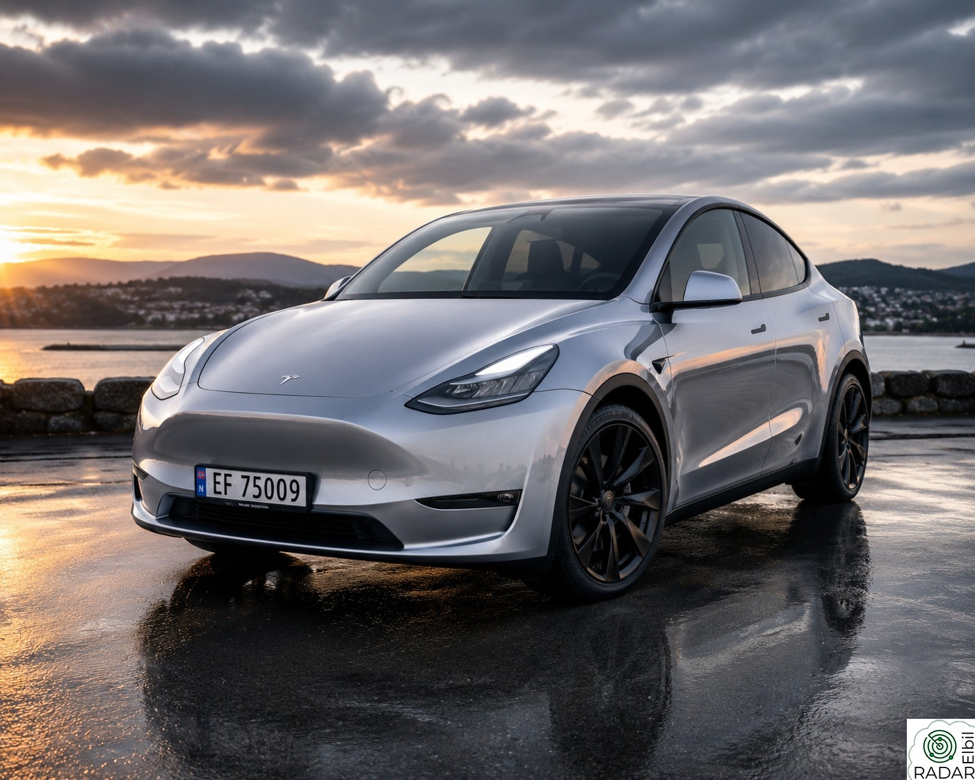 TESLA Model Y Performance AWD