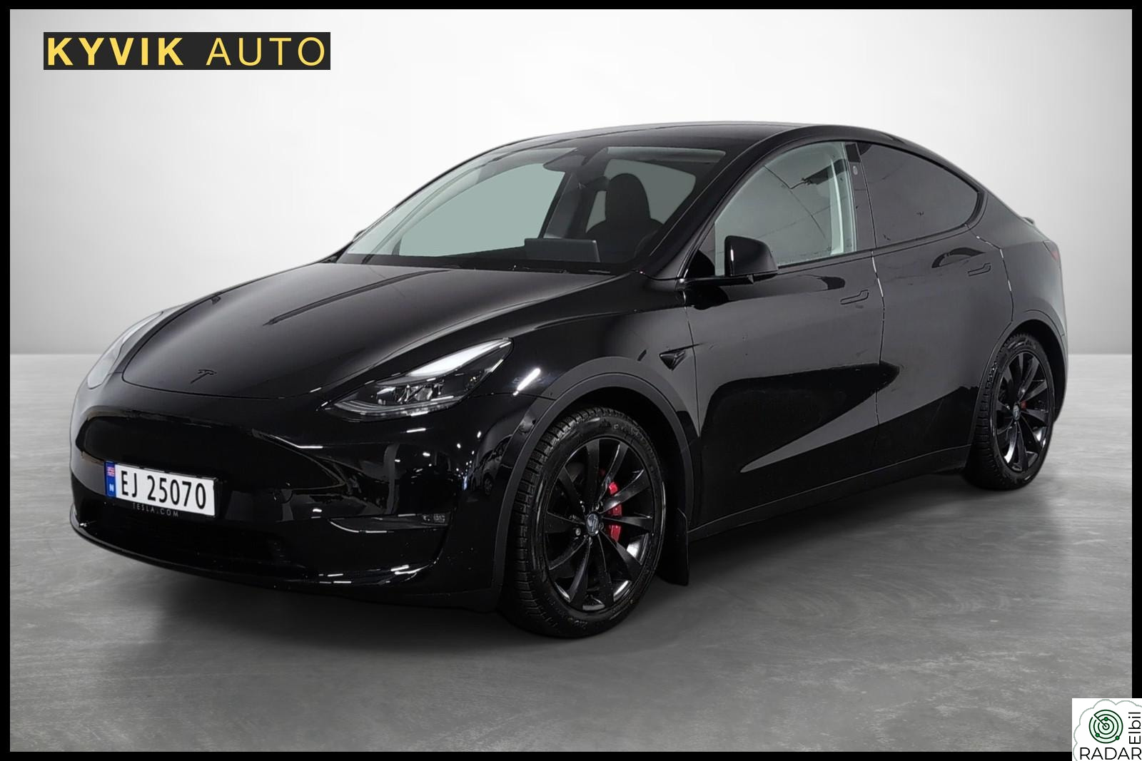 TESLA Model Y Performance