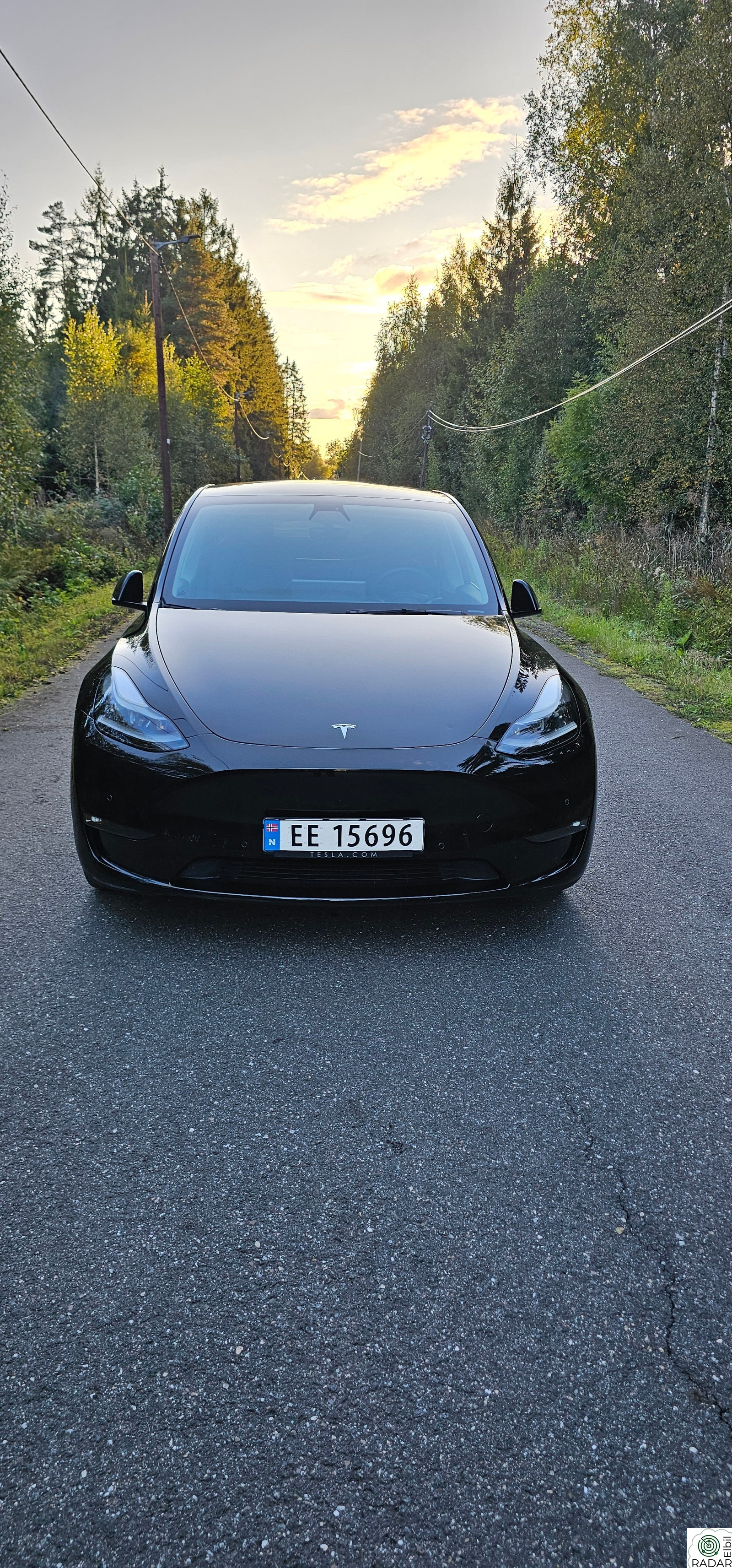 TESLA Model Y Performance AWD