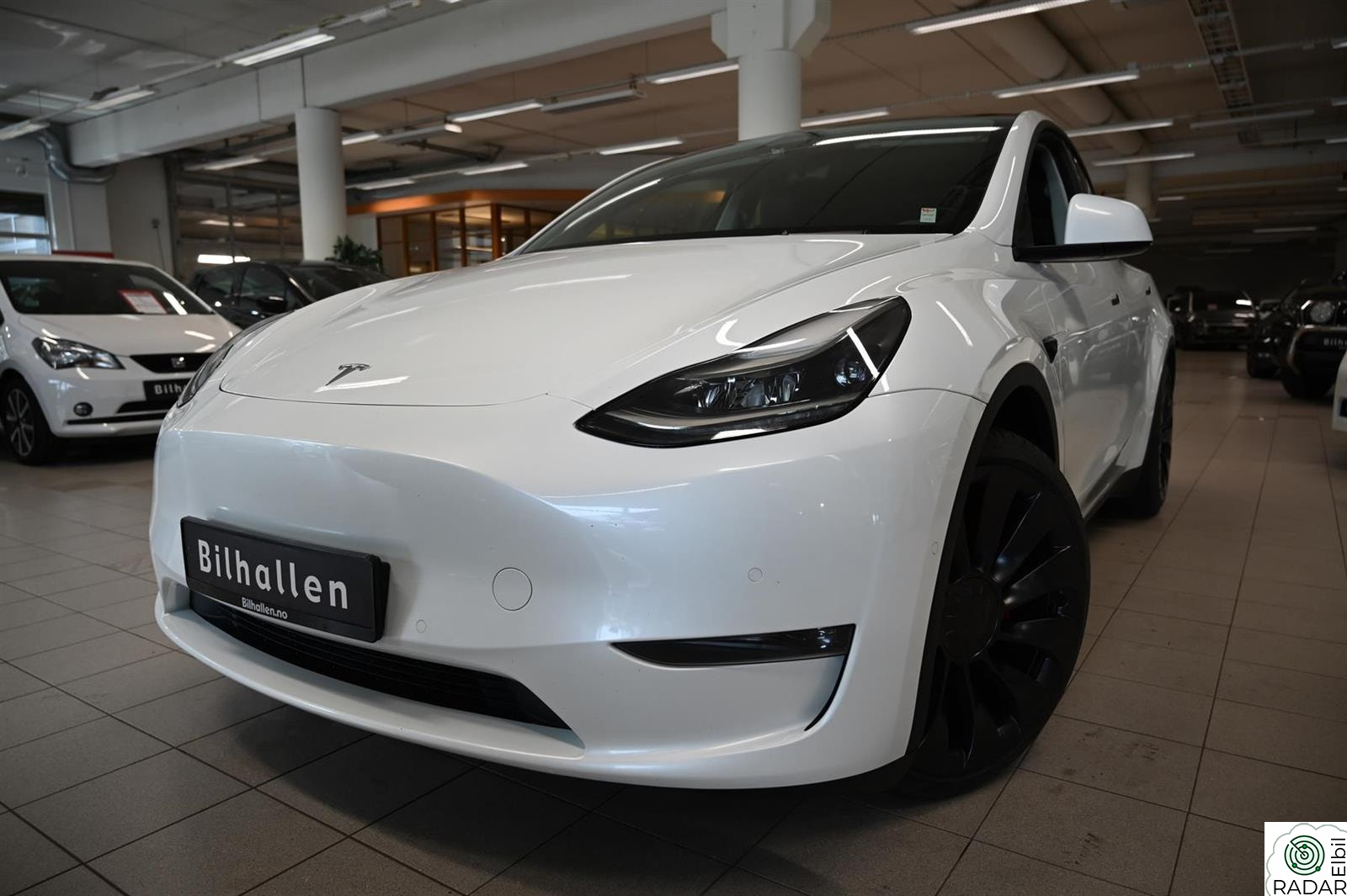 TESLA Model Y AWD Long Range Performance